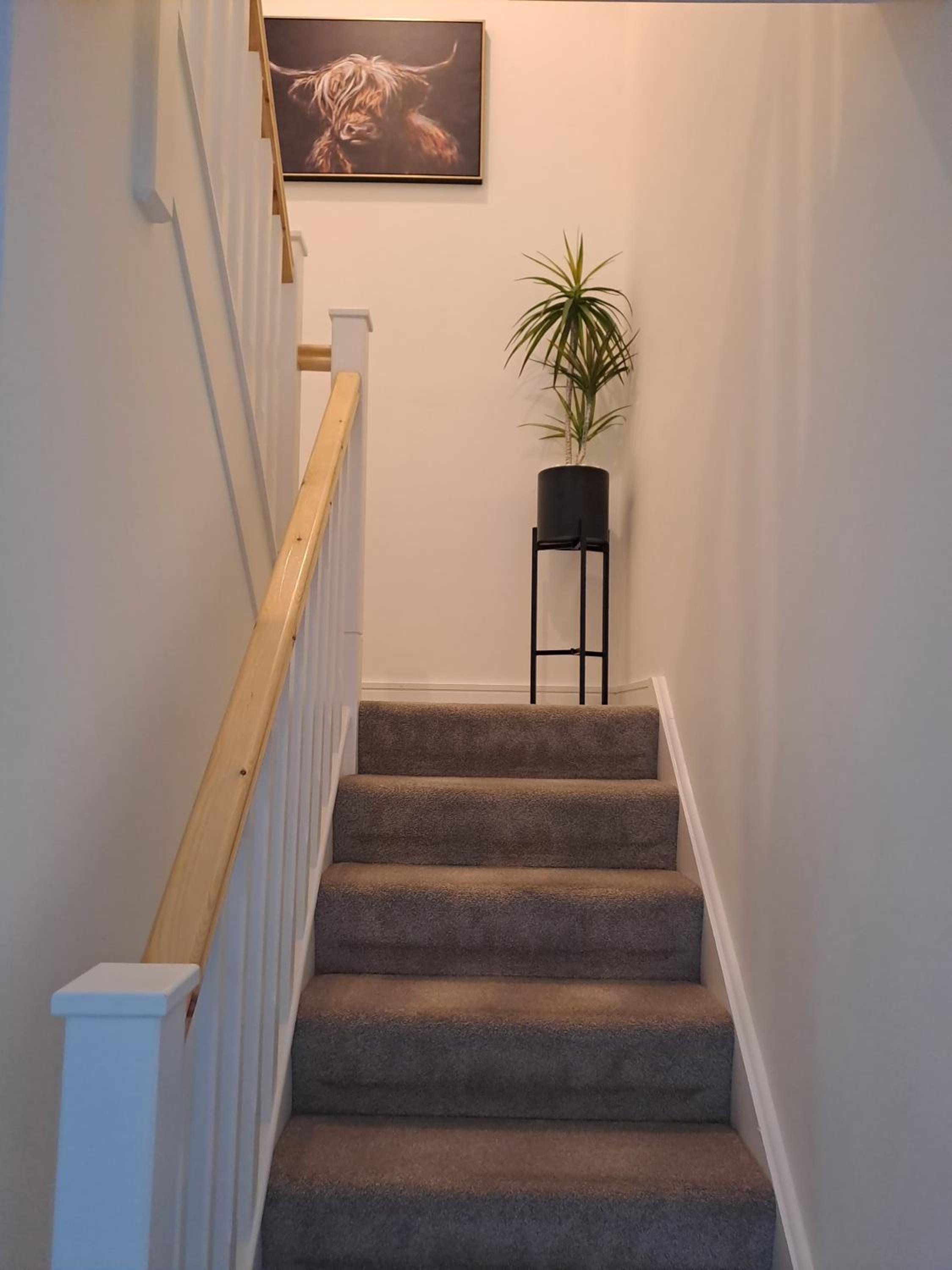 Cozy bedroom in Lucan, Dublin