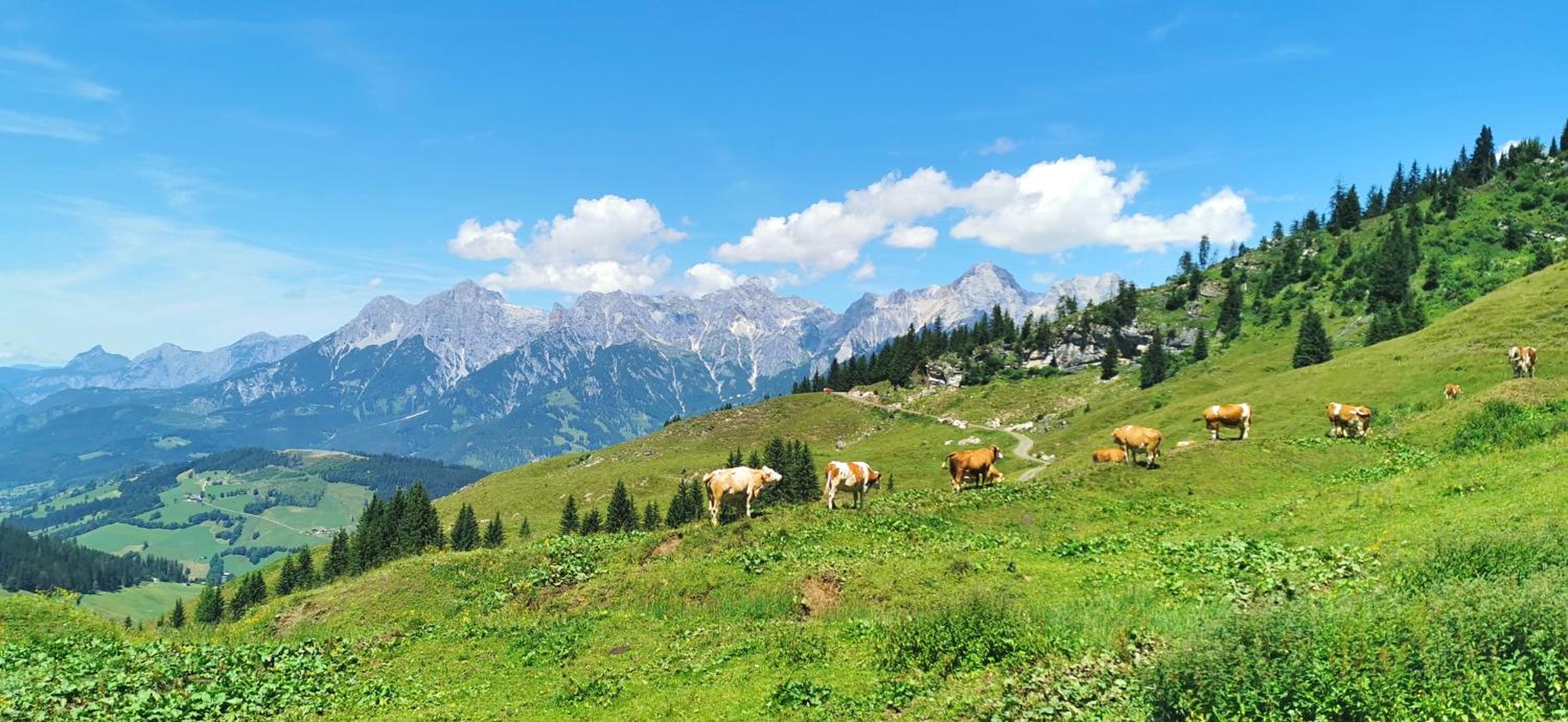 Maria Alm - Cozy & Modern Apartment Mountain View