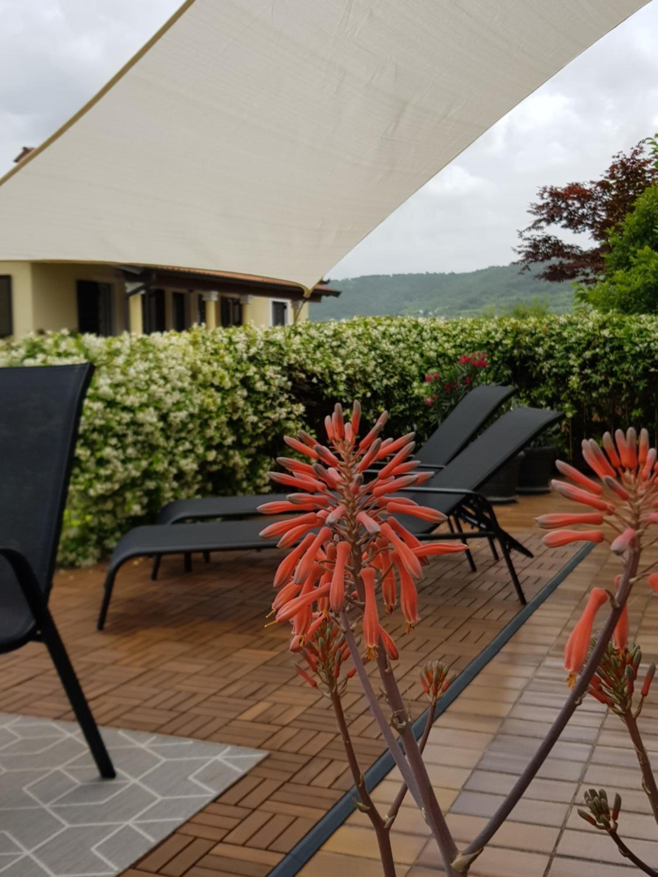 Lavanda Apartment