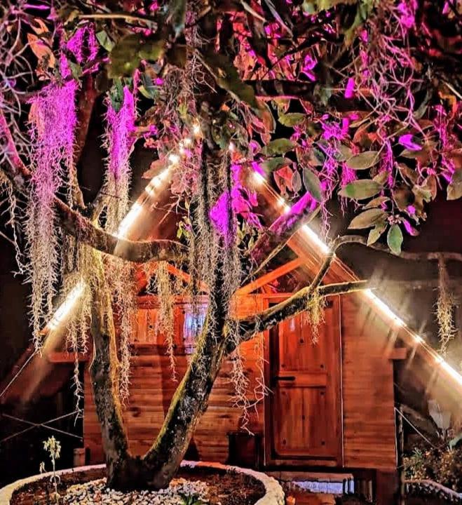 Hotel Cabanas La Miranda