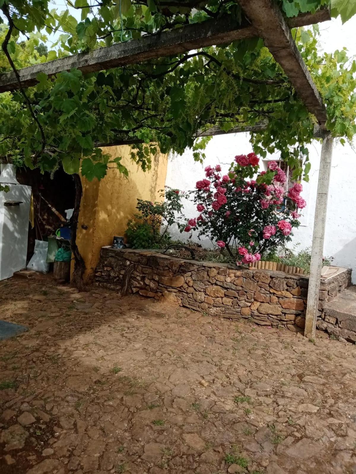 Casa do Olho D'Água view 3