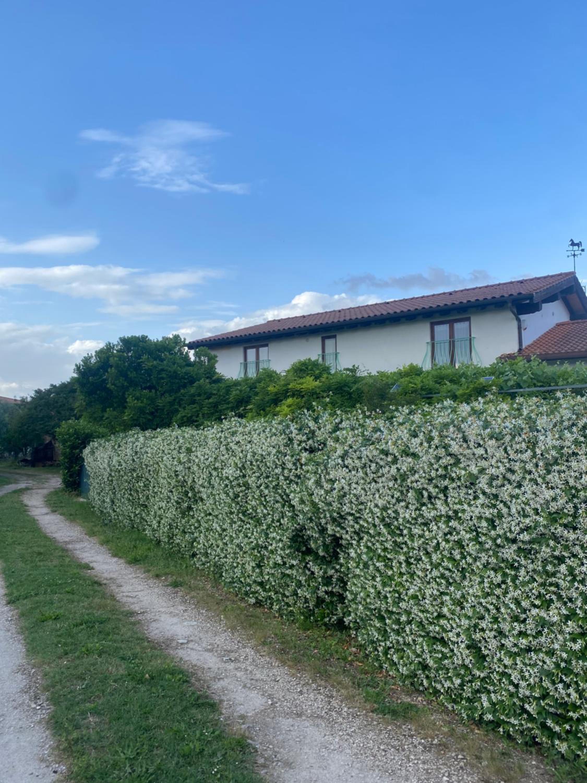 La Locanda Del Tevere Slow tourism near Rome, photo 45