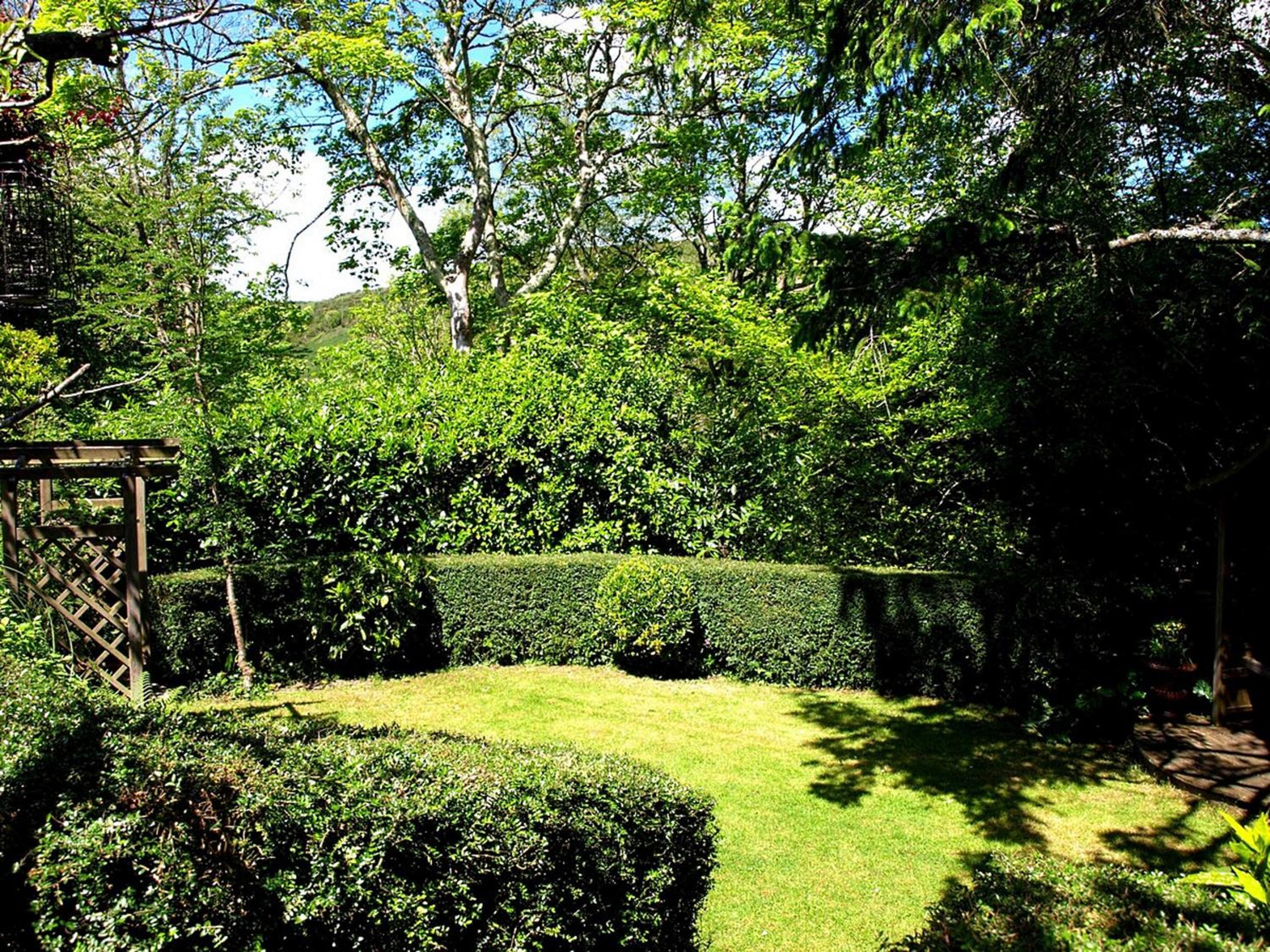 Photo 45