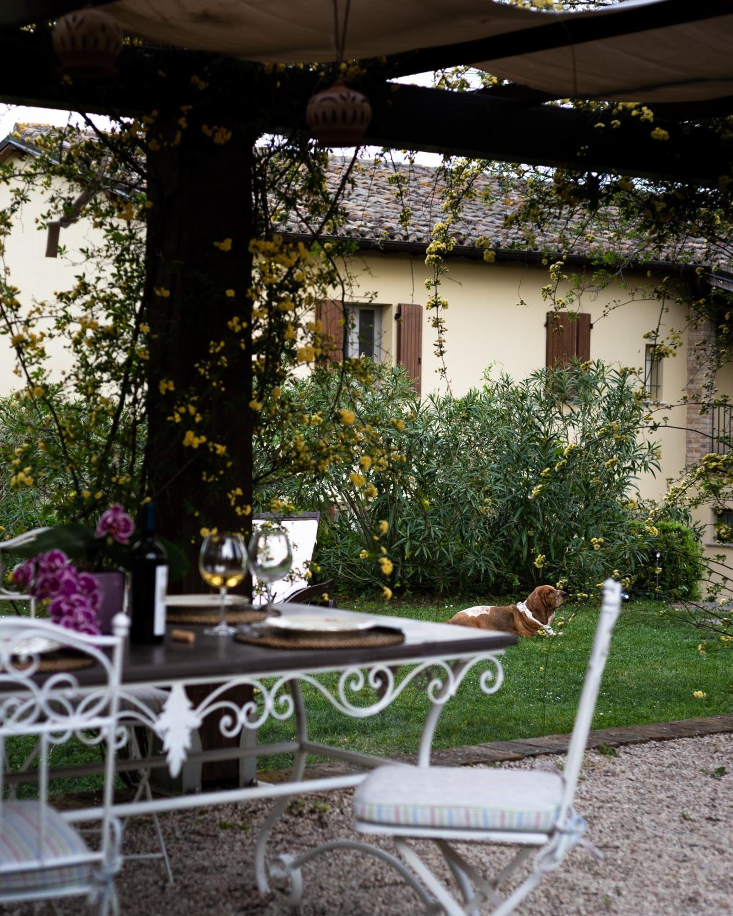 Photo 44