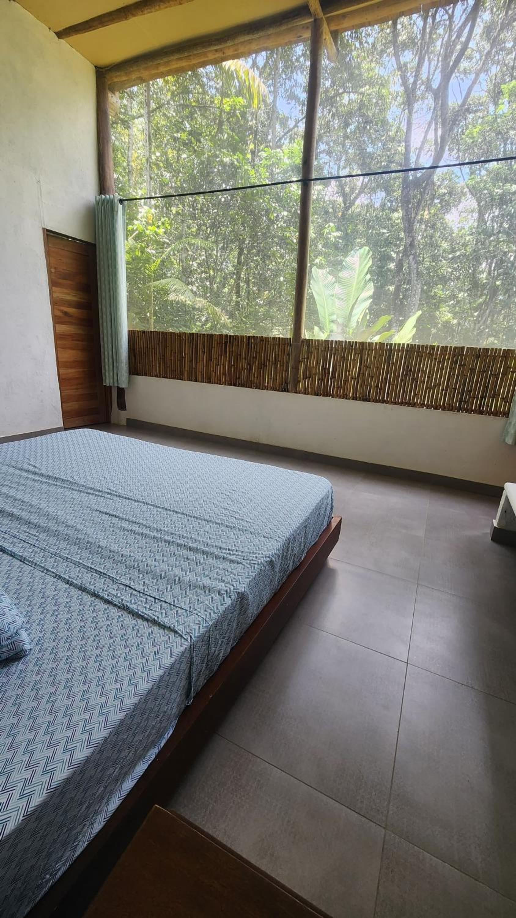 Casa Kiwi Jungle Lodge