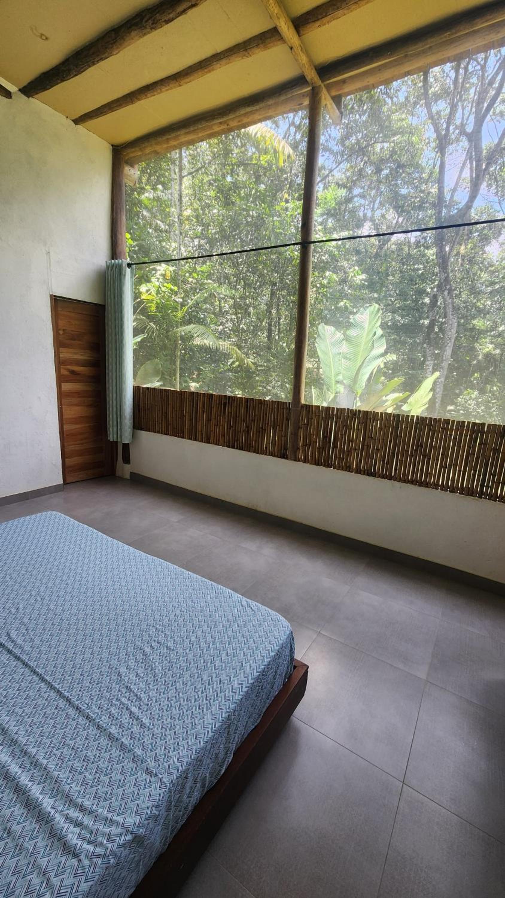 Casa Kiwi Jungle Lodge