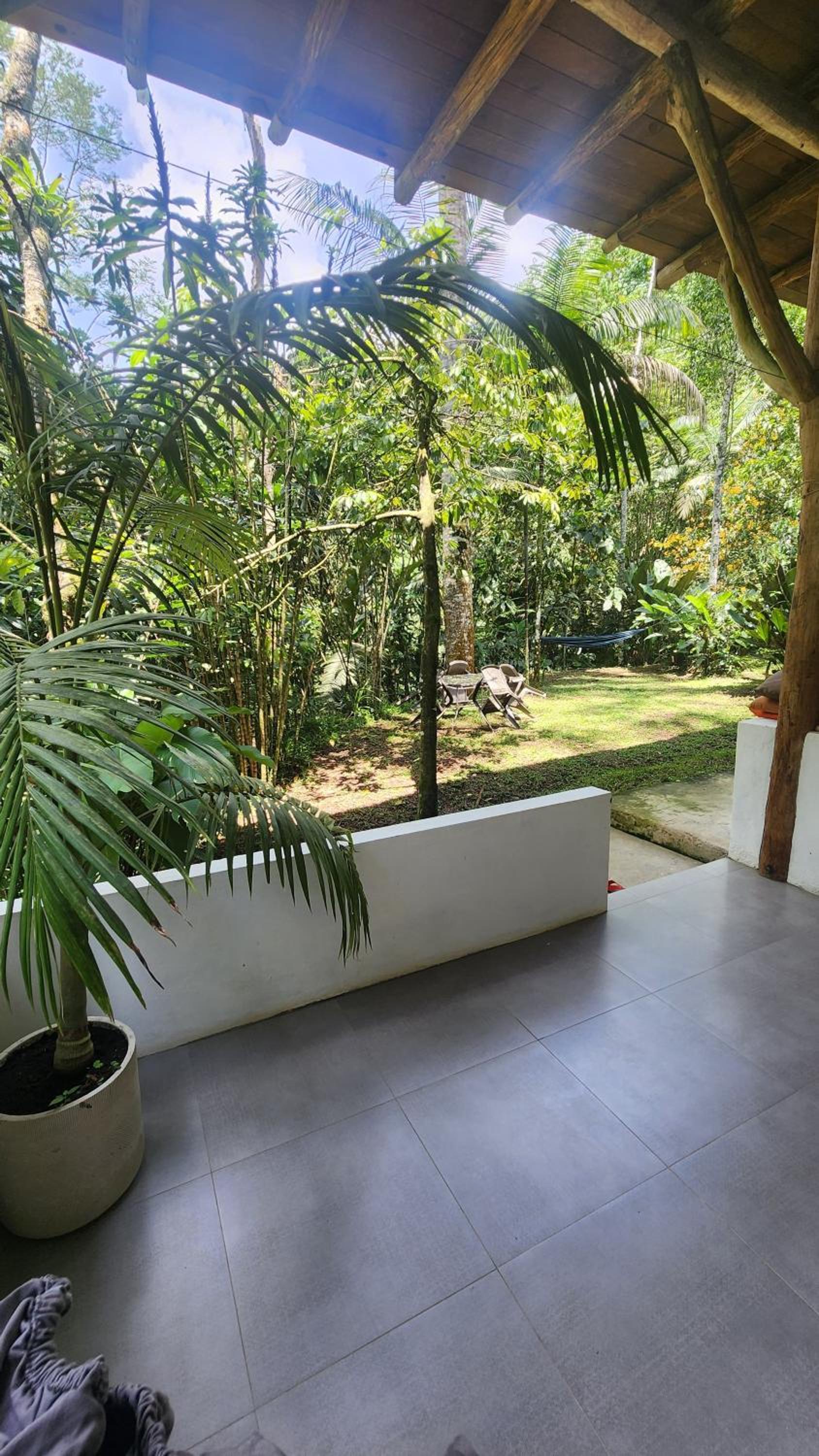 Casa Kiwi Jungle Lodge