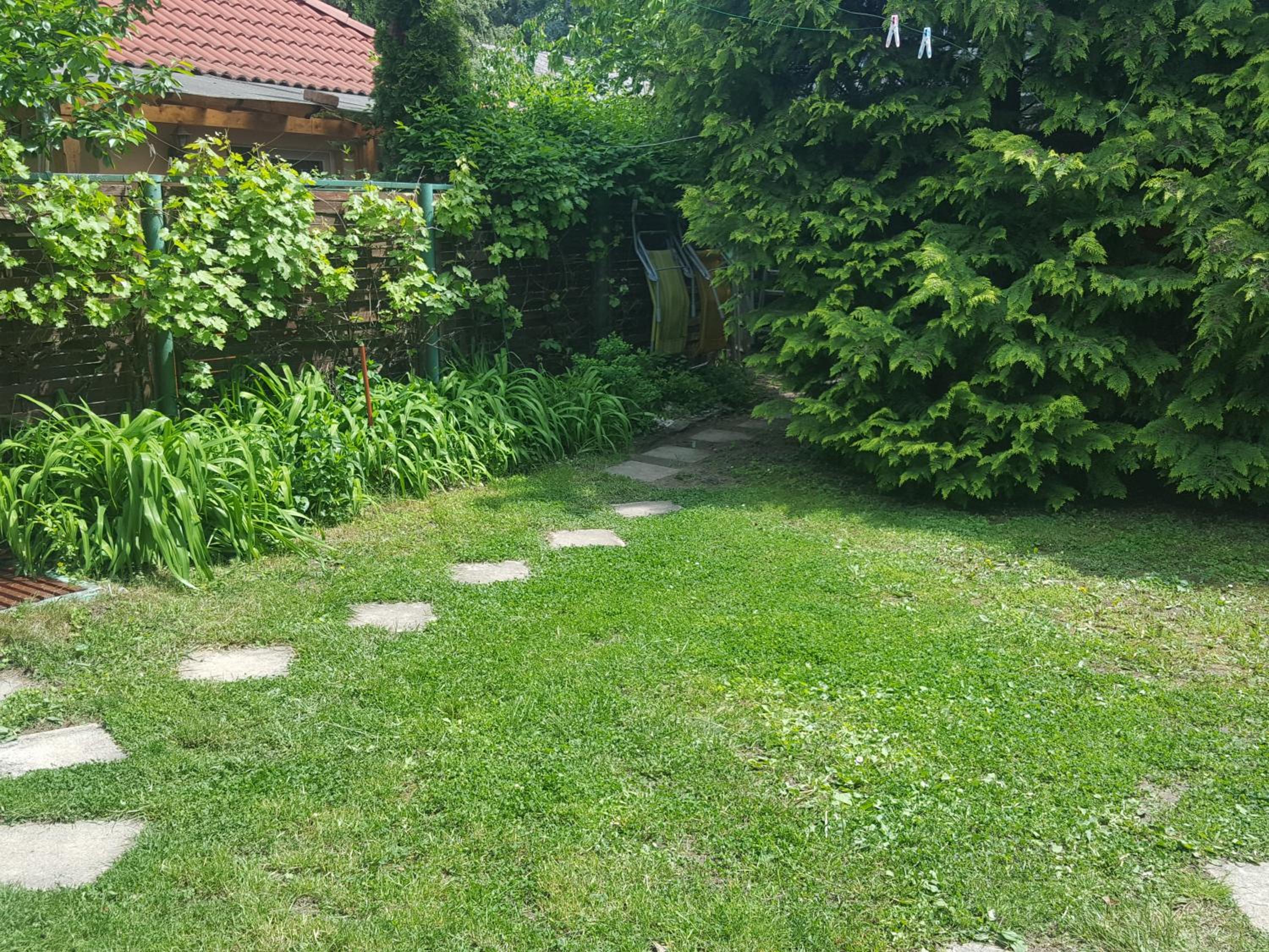 Photo 43