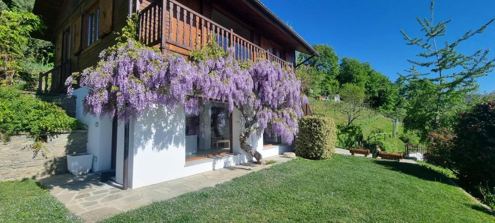 Chalet Sophie - Luxury Chalet view 4