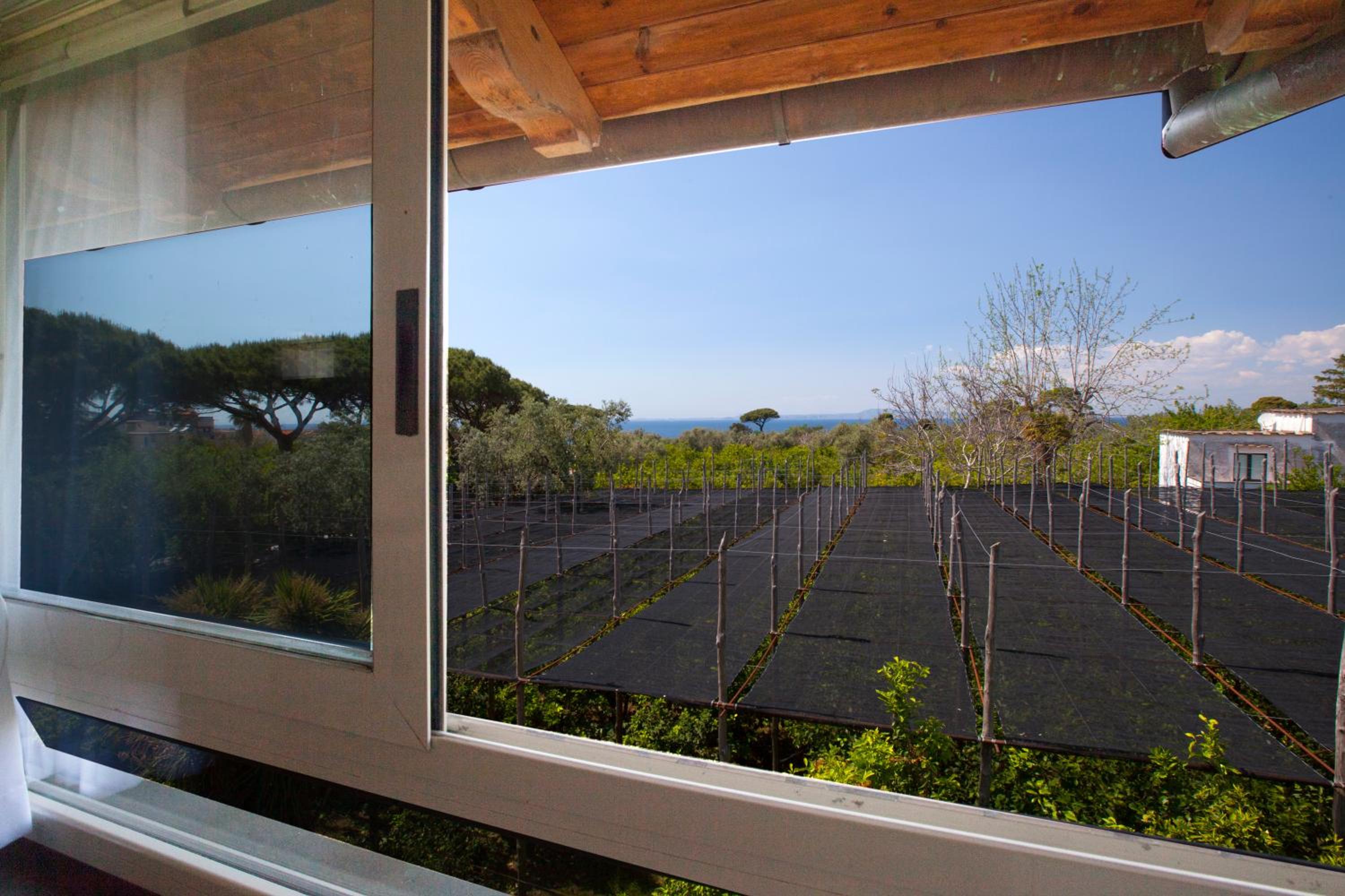 YourHome - Jolly Pini Apartment photo 4