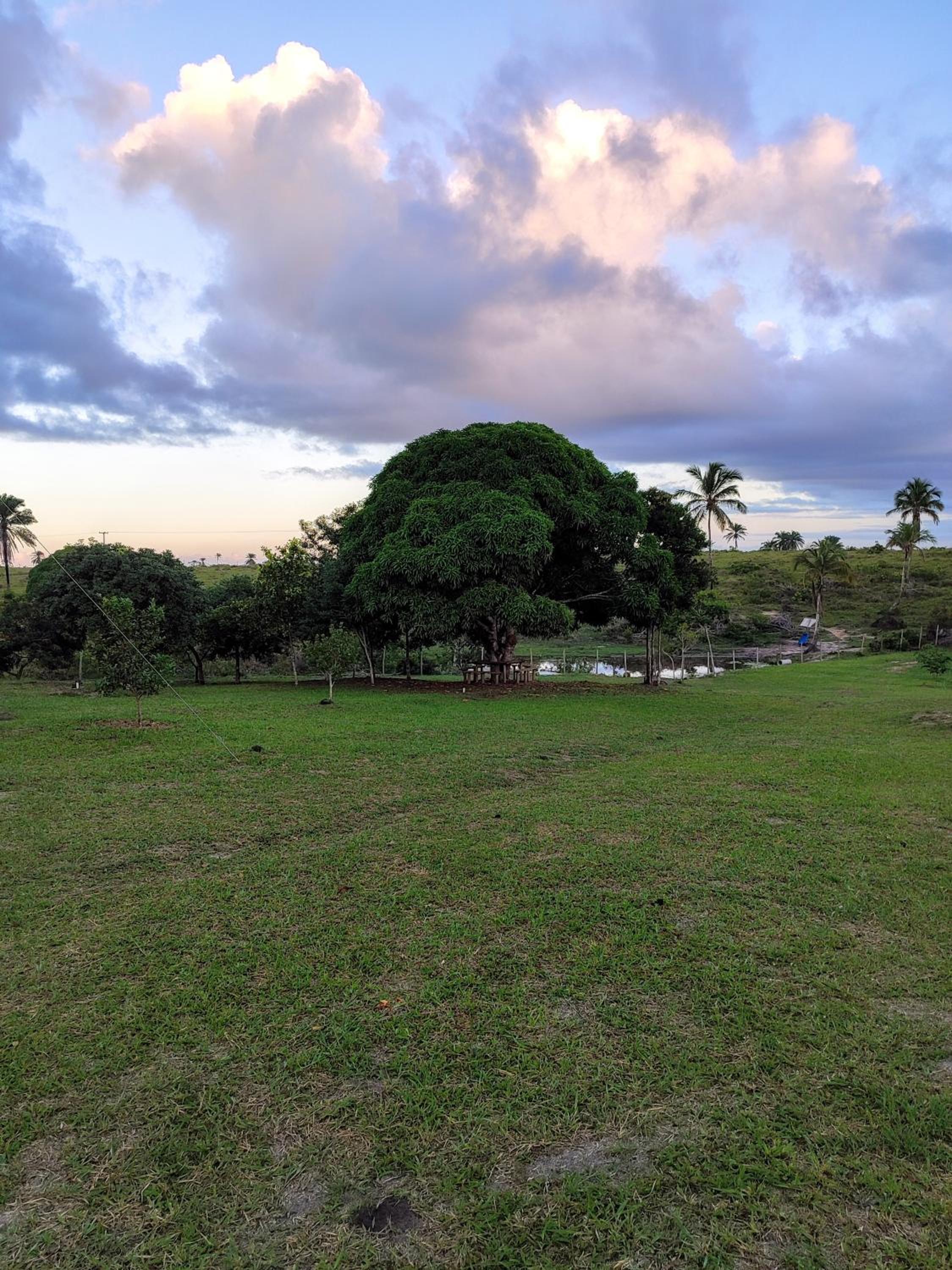 Chalé do Bosque Corumbau