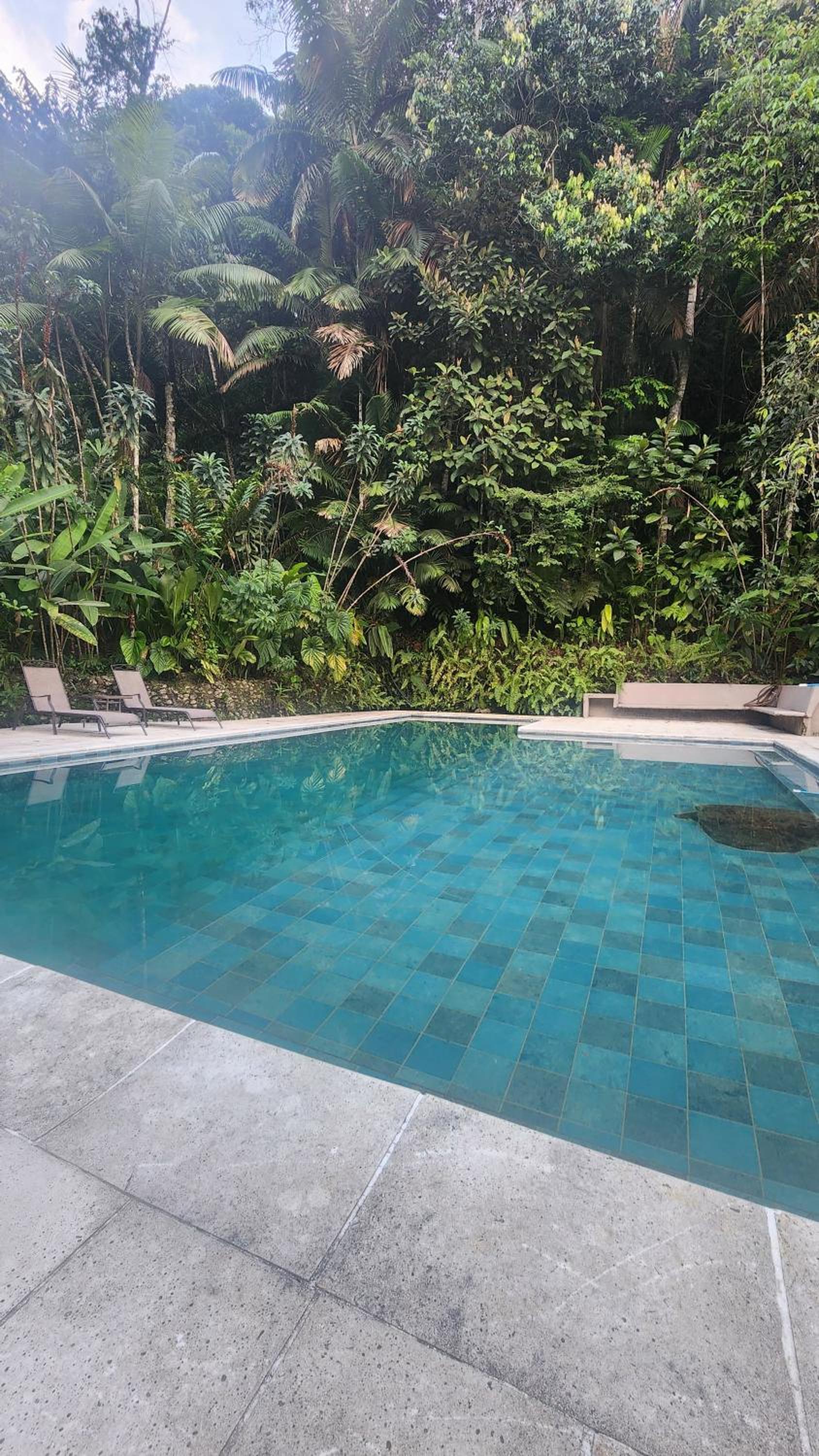 Casa Kiwi Jungle Lodge