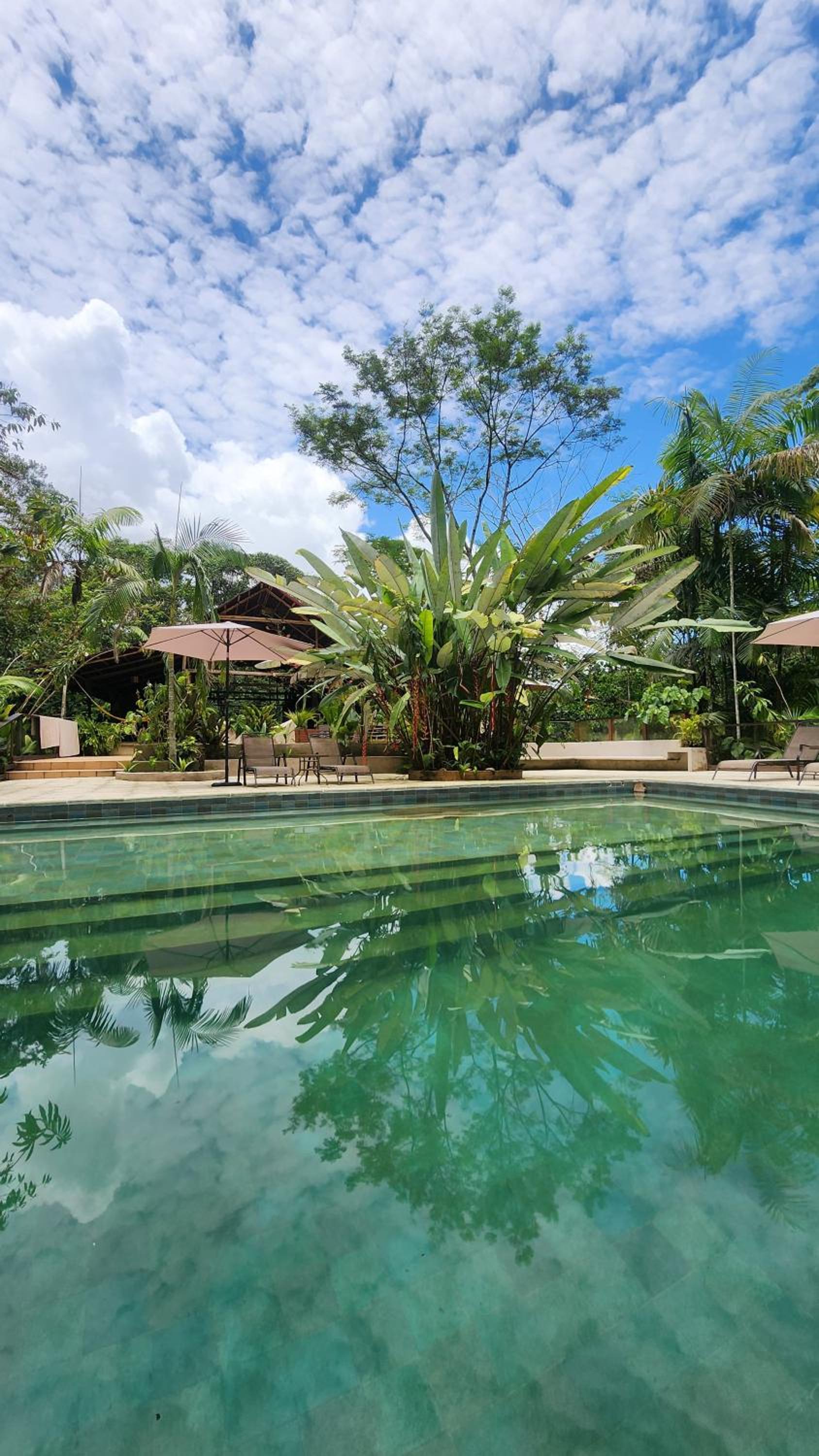 Casa Kiwi Jungle Lodge