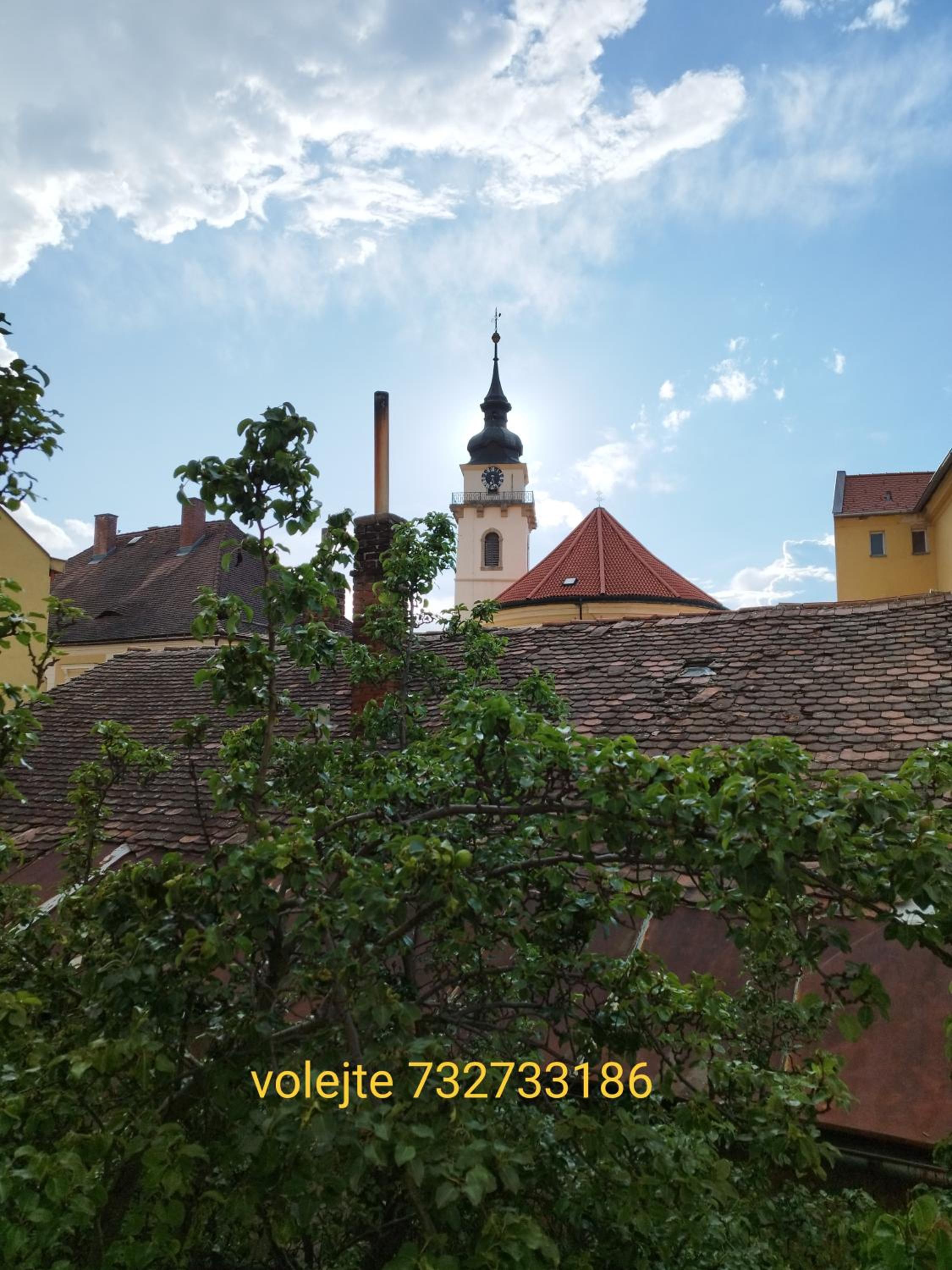 Apartmán Horní Heřmanův Městec u Chrudimi