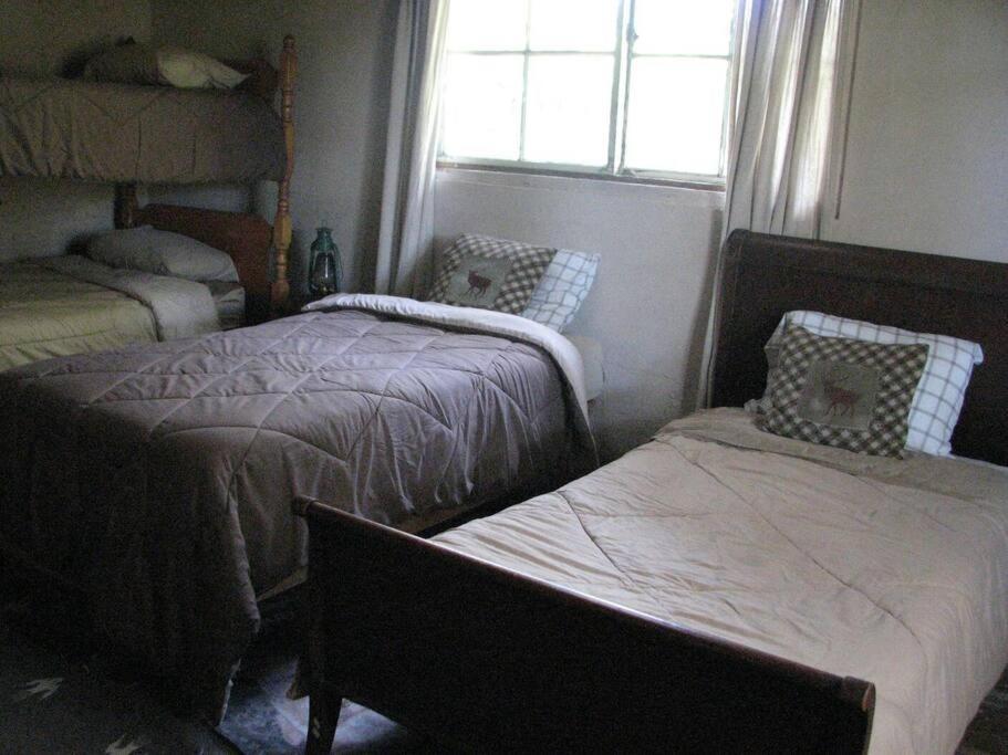 Photo 23