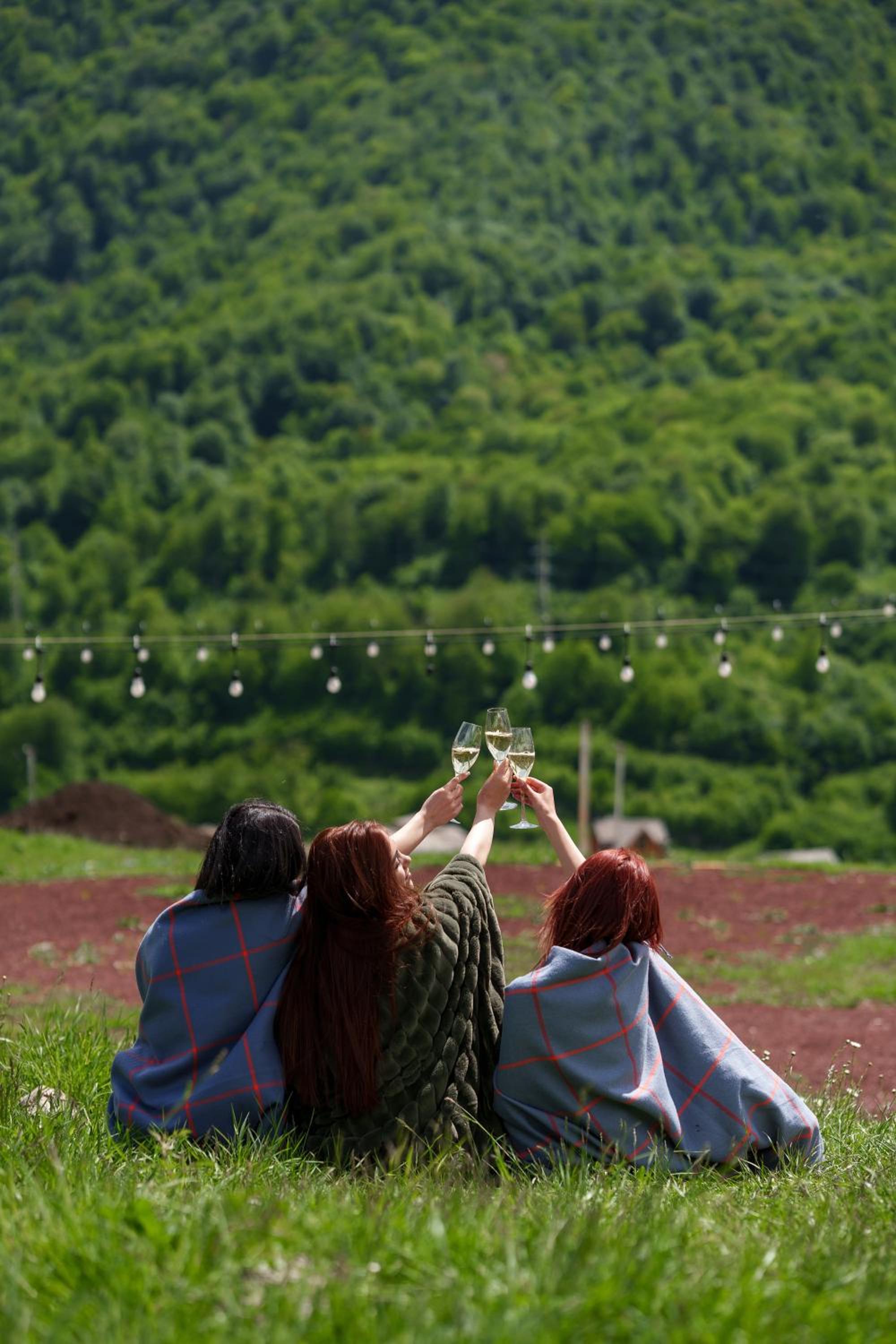 Motives Inn Dilijan