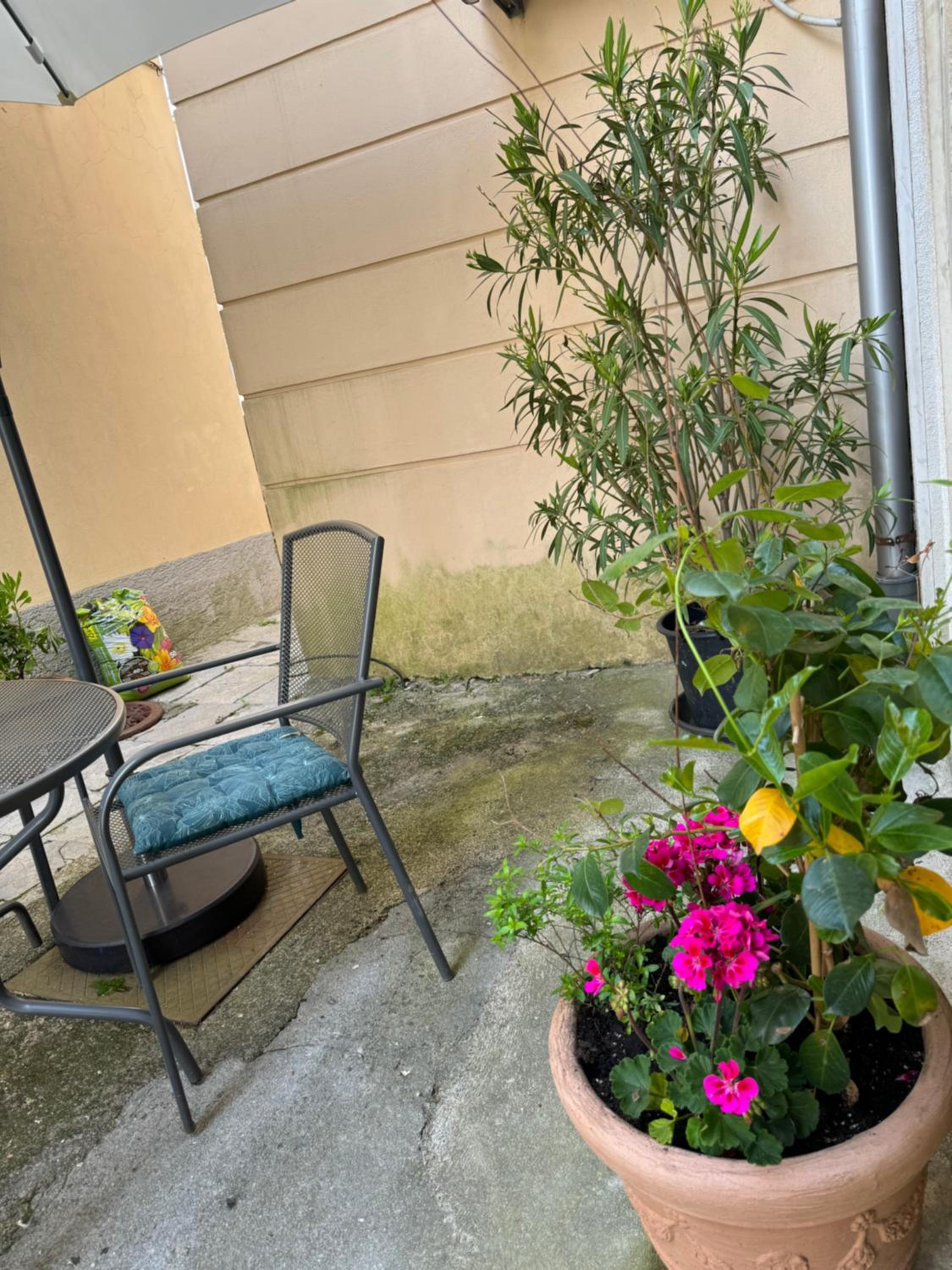 Apartment Mirna - what you see is what you get view 3
