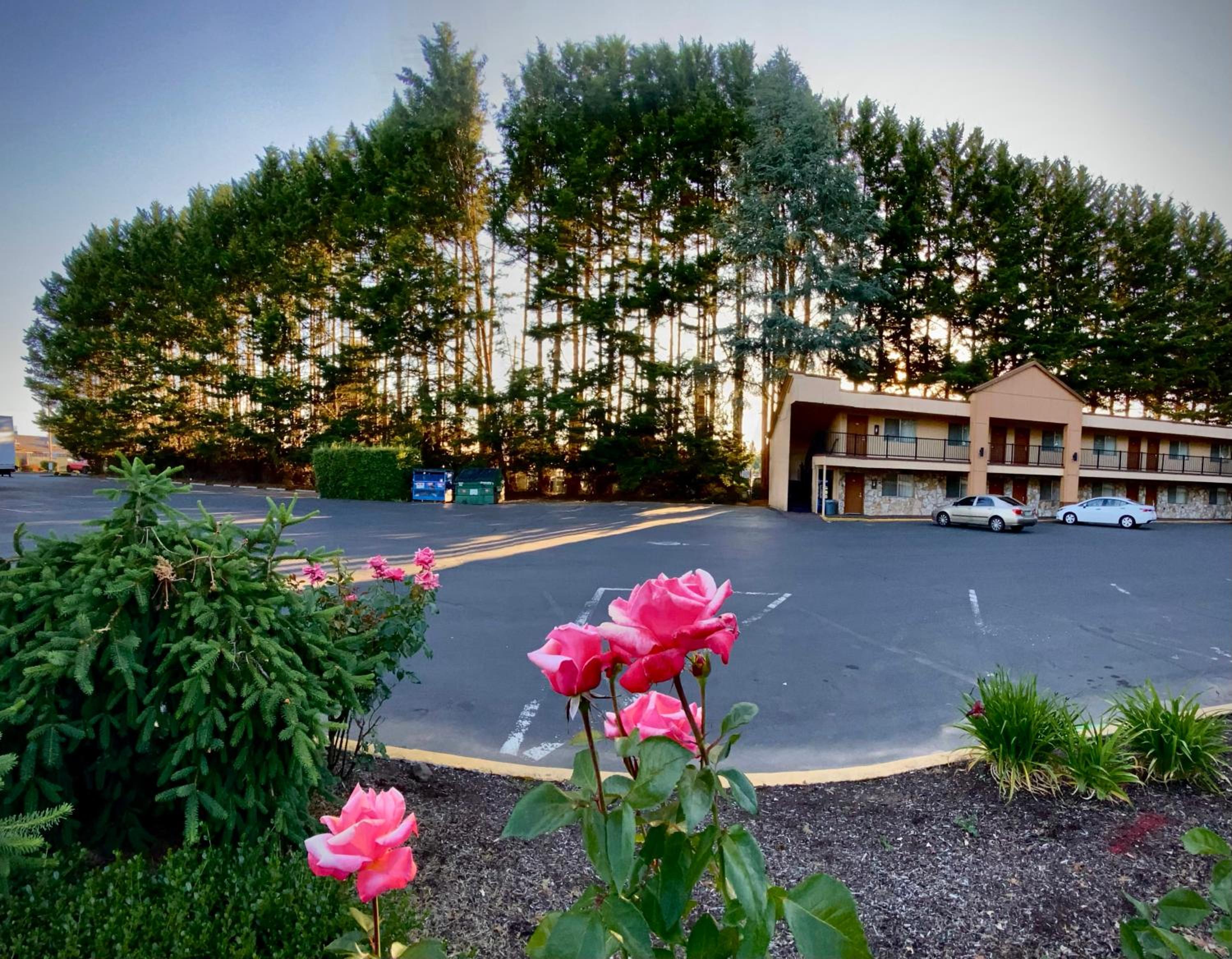 McMinnville Inn