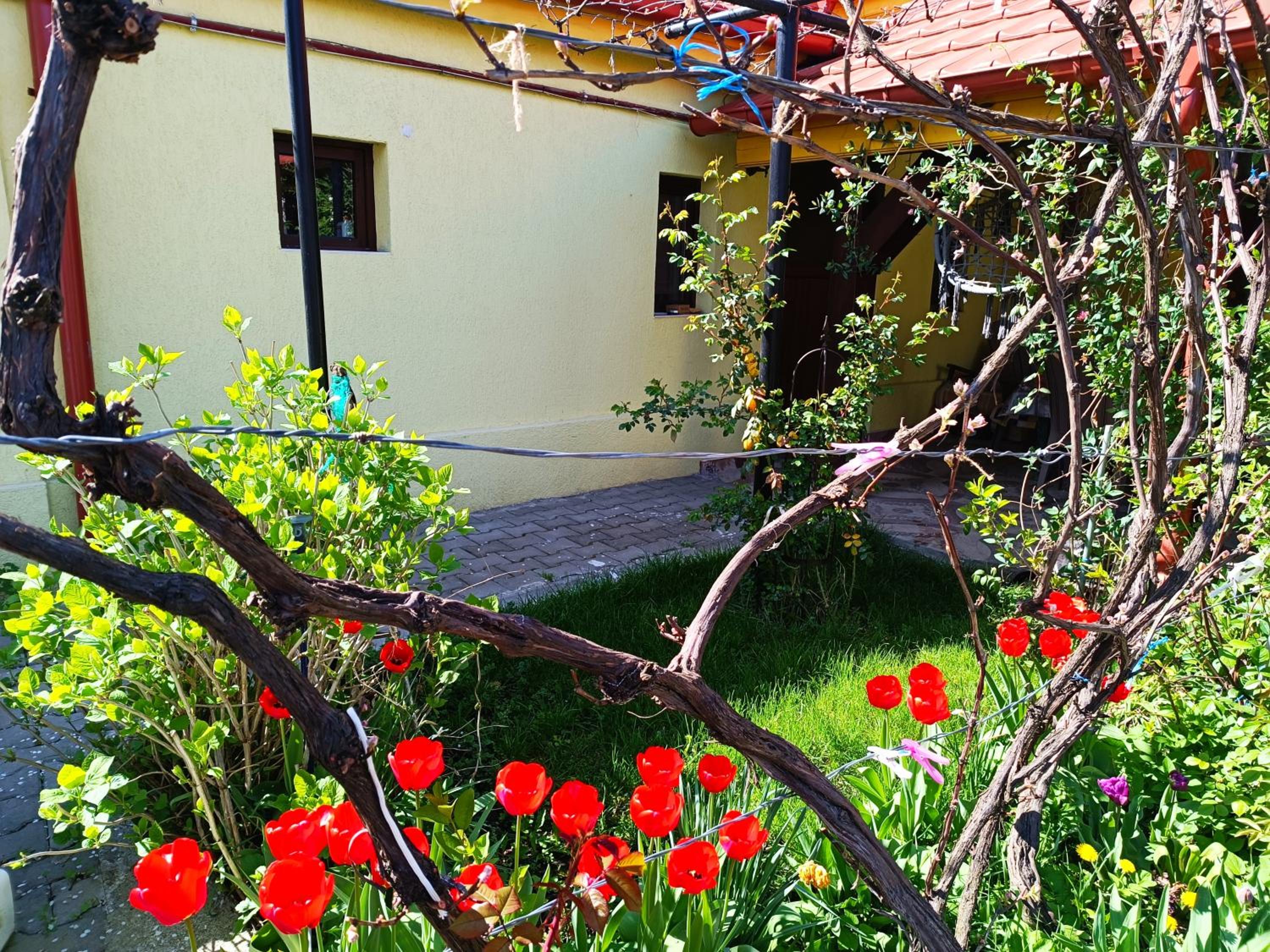 Casa Bunicilor
