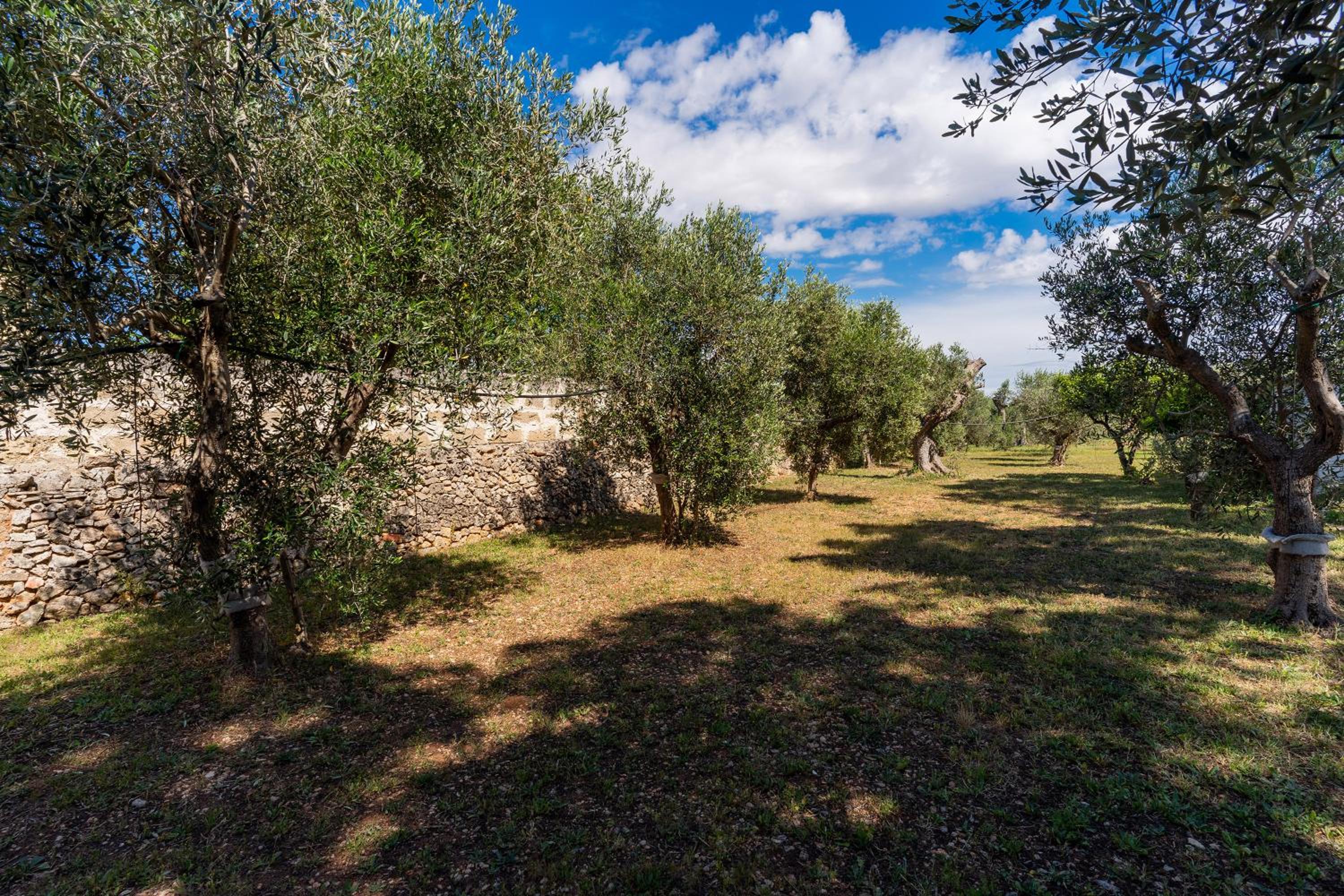 Casetta Andrea nel Verde