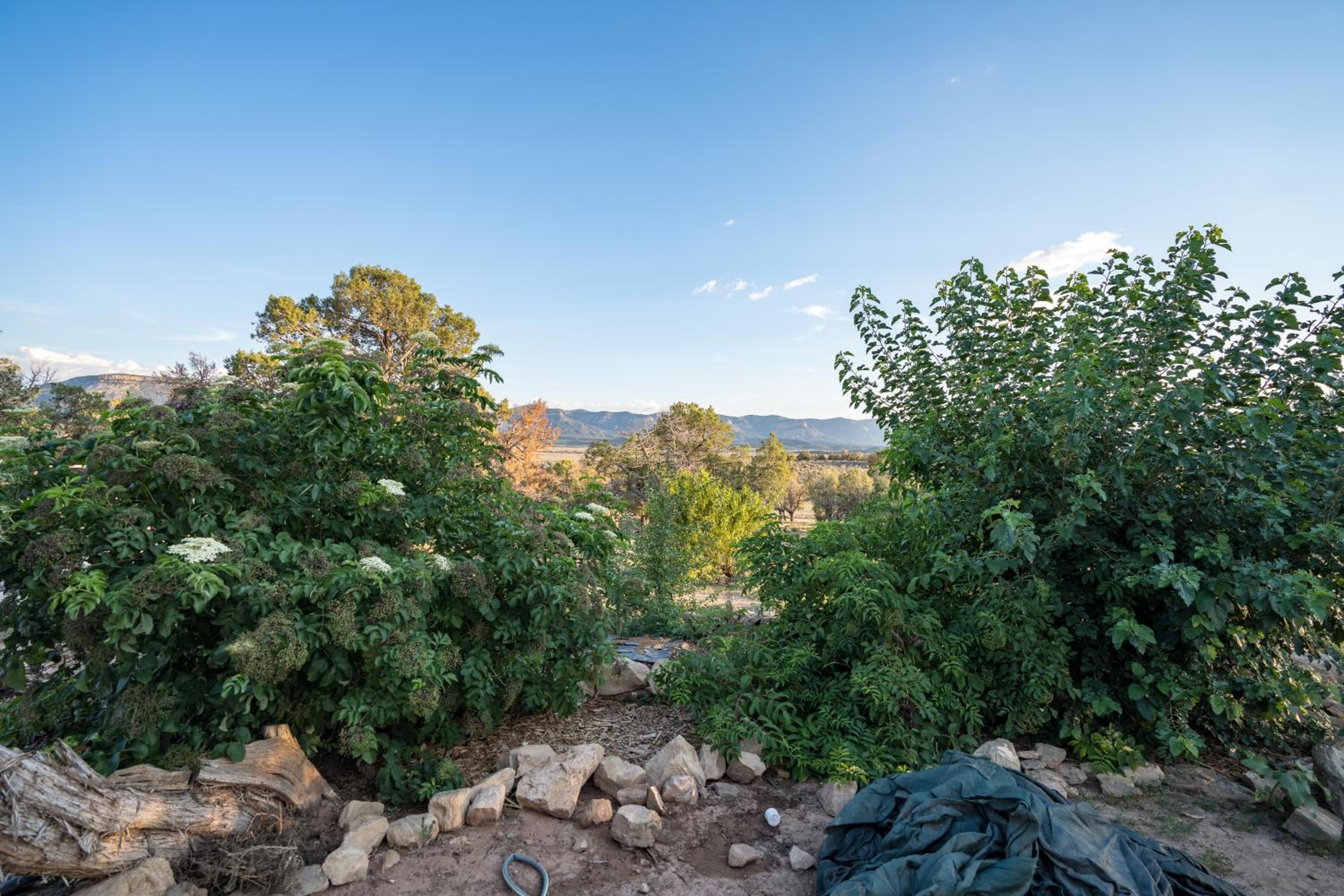 Cortez Vacations - Ranch at Mesa Verde - Property Image 7