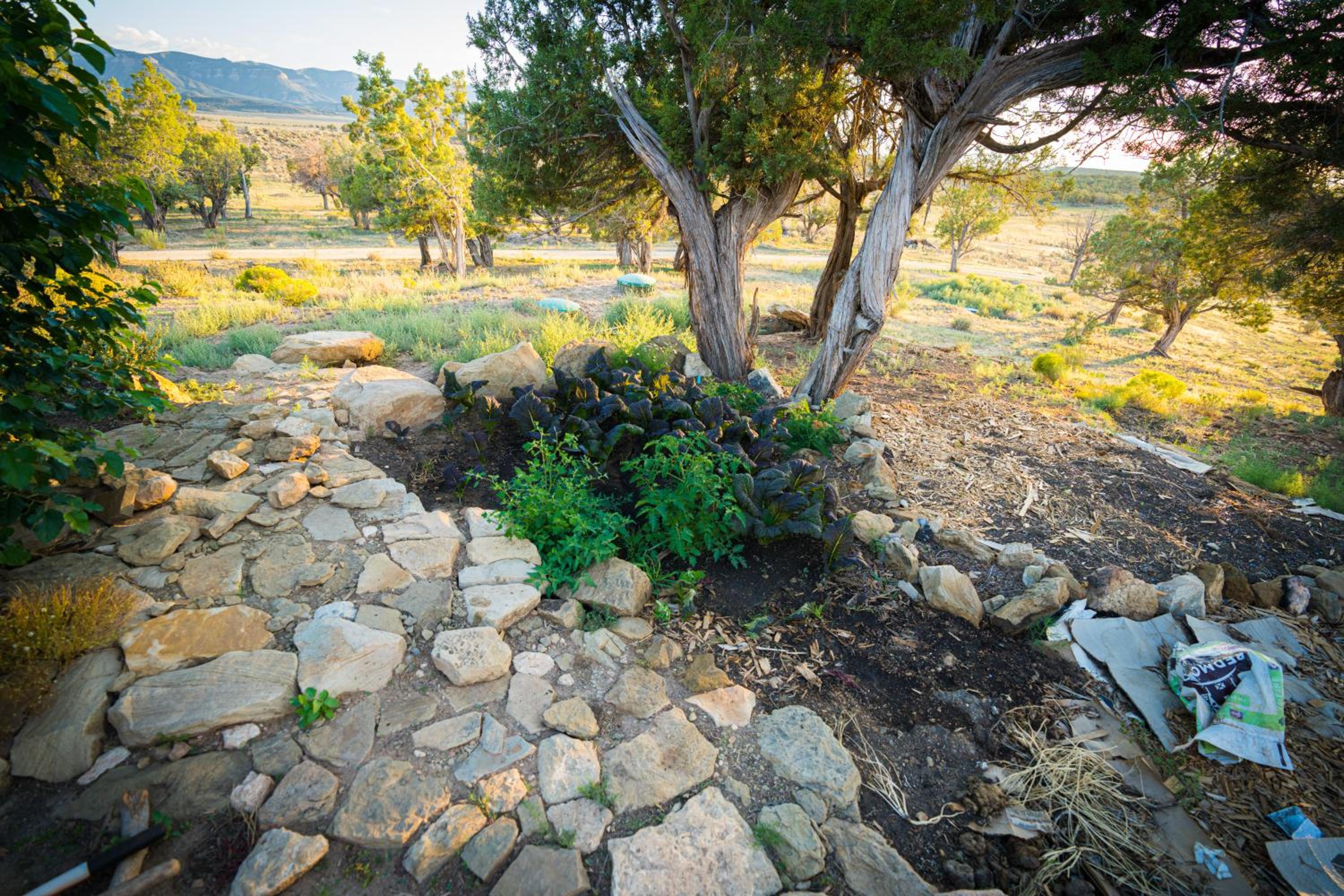 Cortez Vacations - Ranch at Mesa Verde - Property Image 6