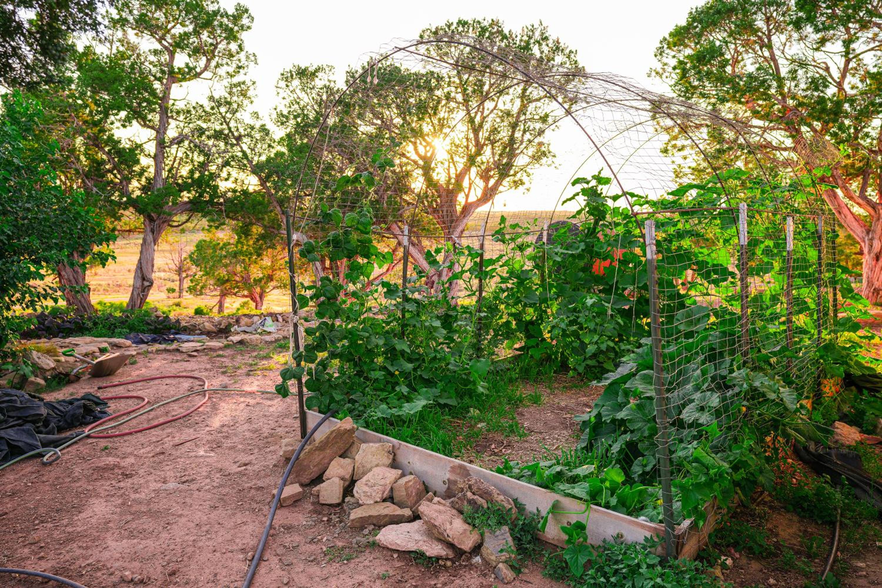 Cortez Vacations - Ranch at Mesa Verde - Property Image 5