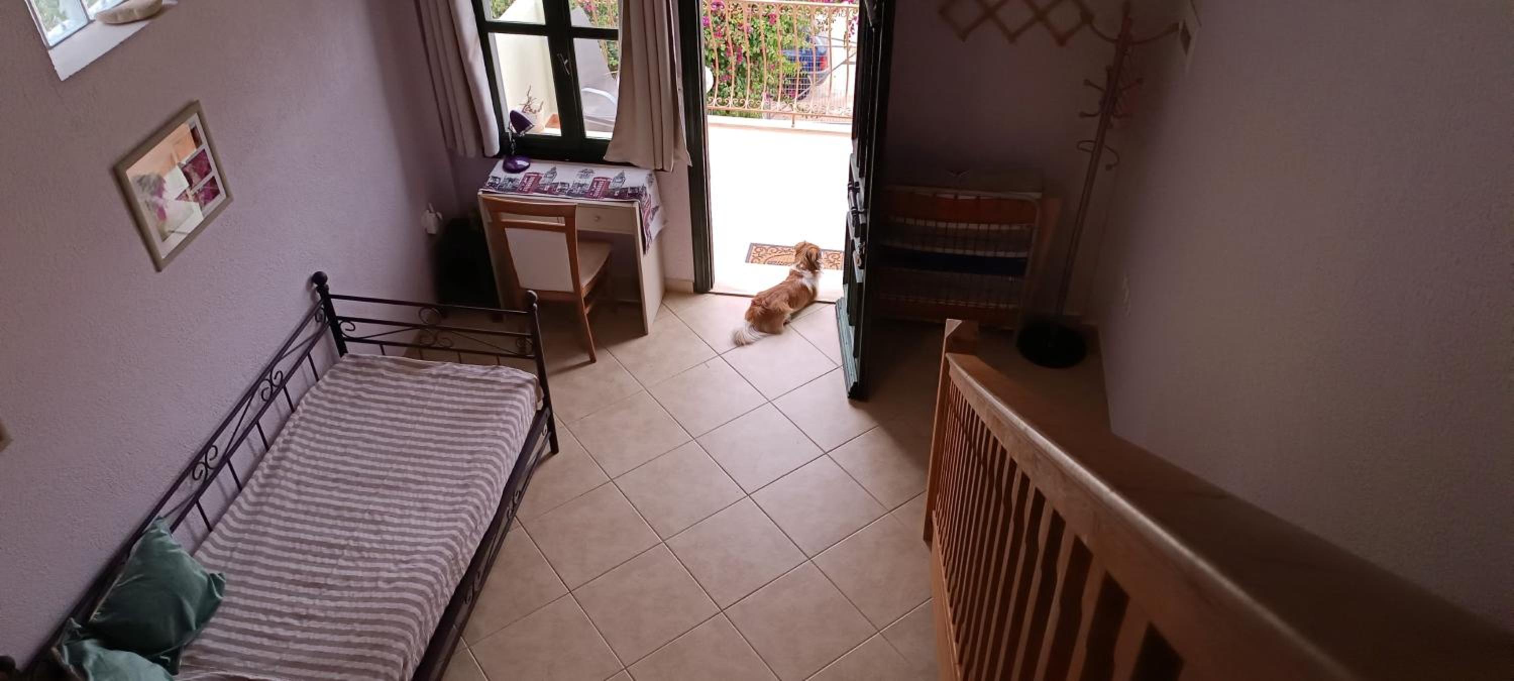 Photo 17