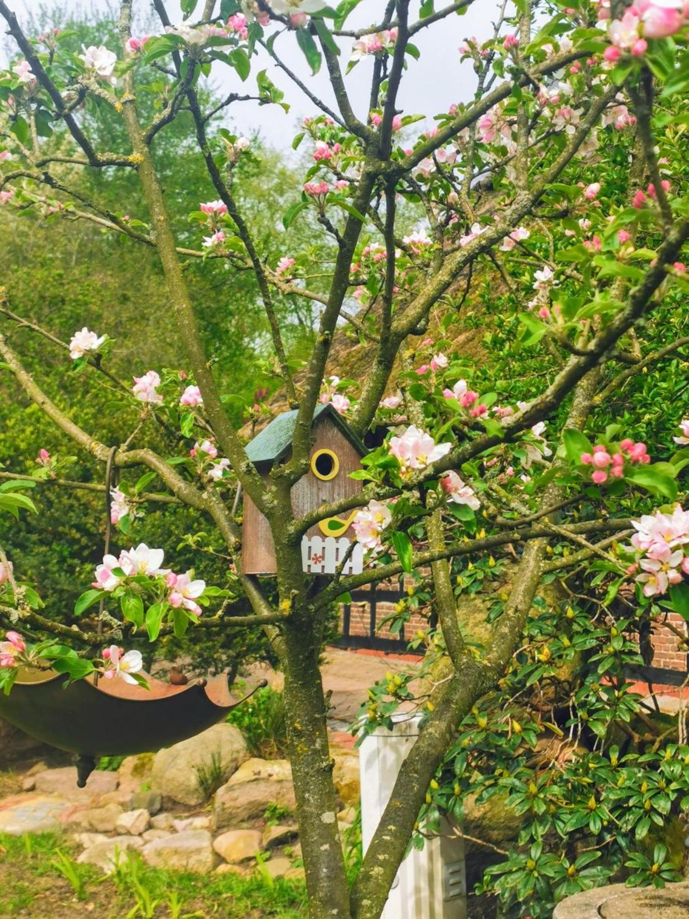 Ferienhaus Oak-Tree-Cottage