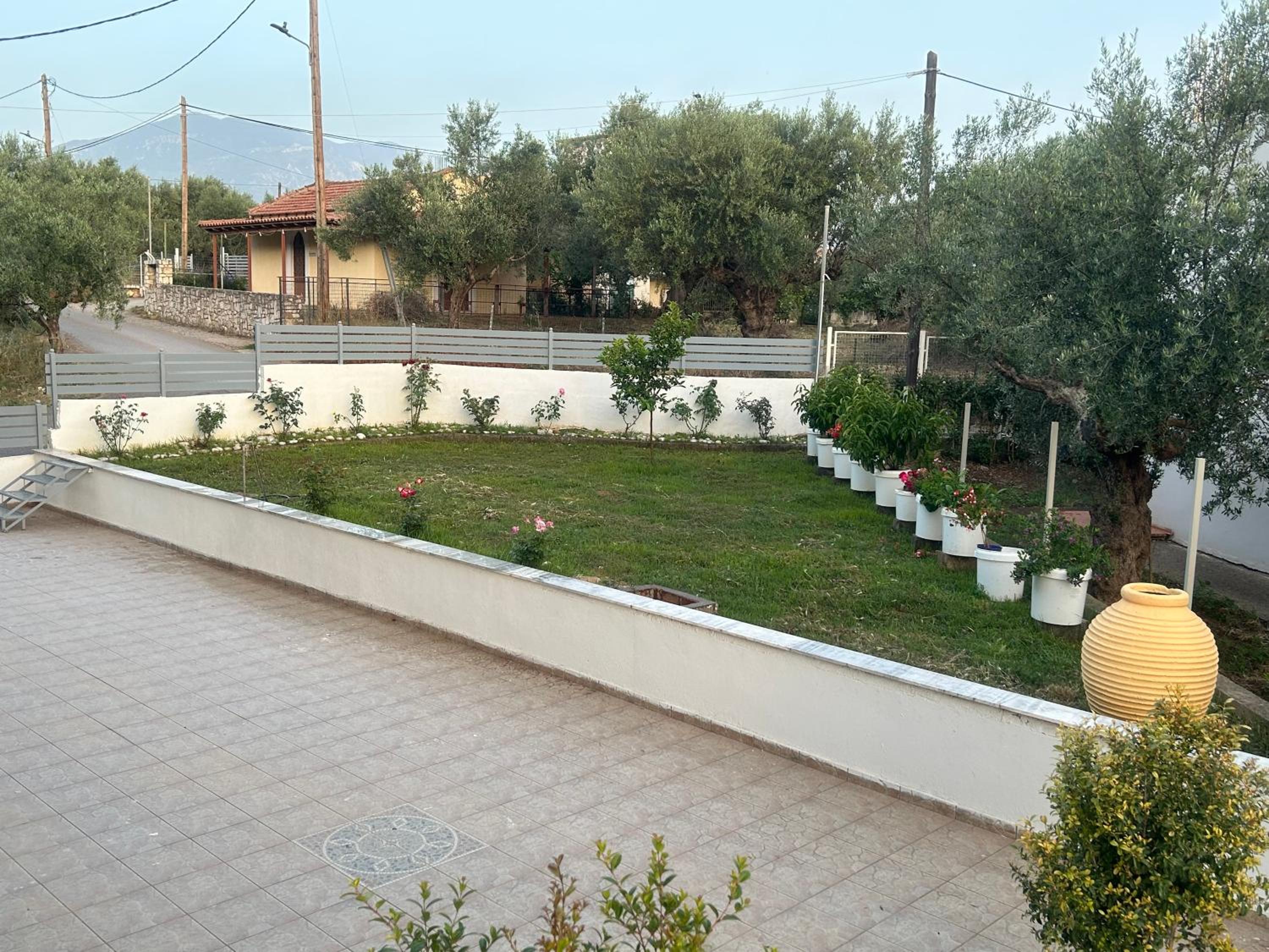 Photo 31