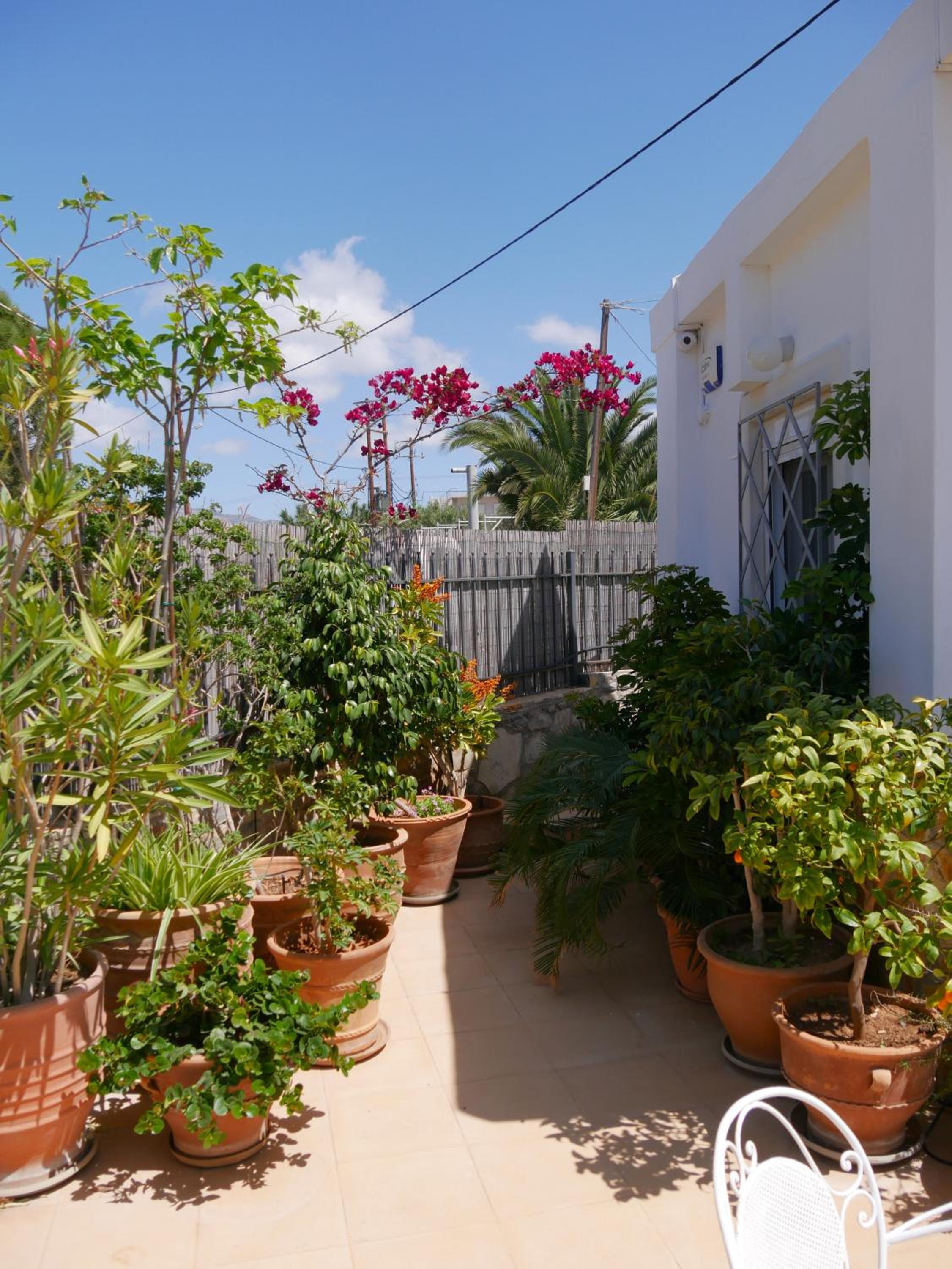 250 metres from the sea an independent tiny house with a yard full of flowers! Spitaki the Little House! view 3