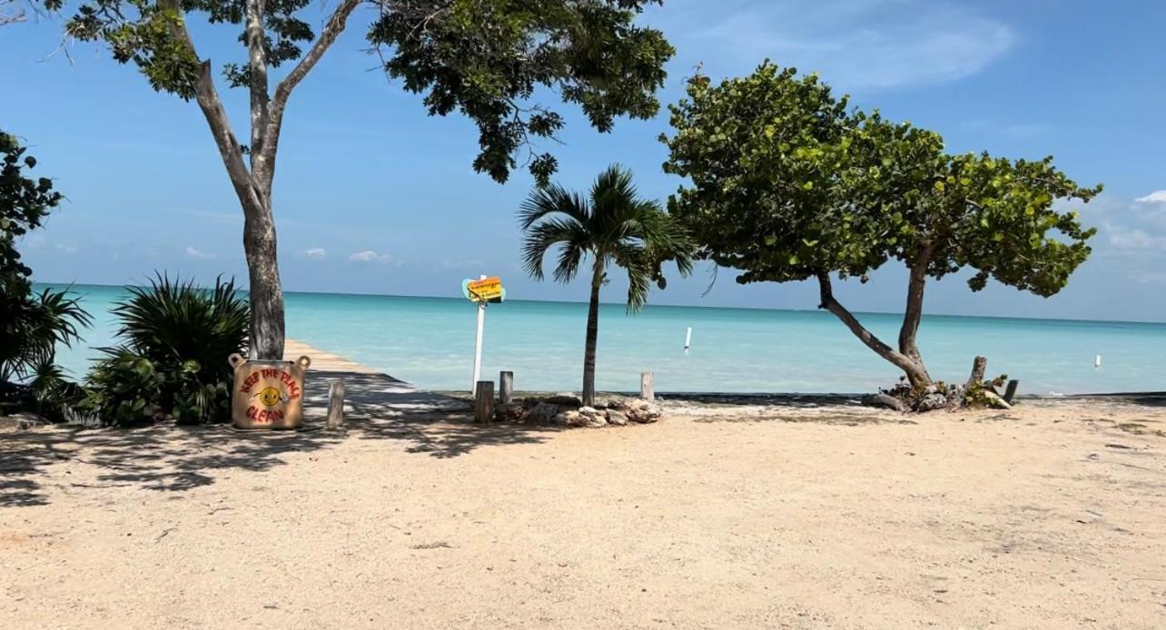 Seafront Caribbean Tropical Luxurious Home in Sarteneja