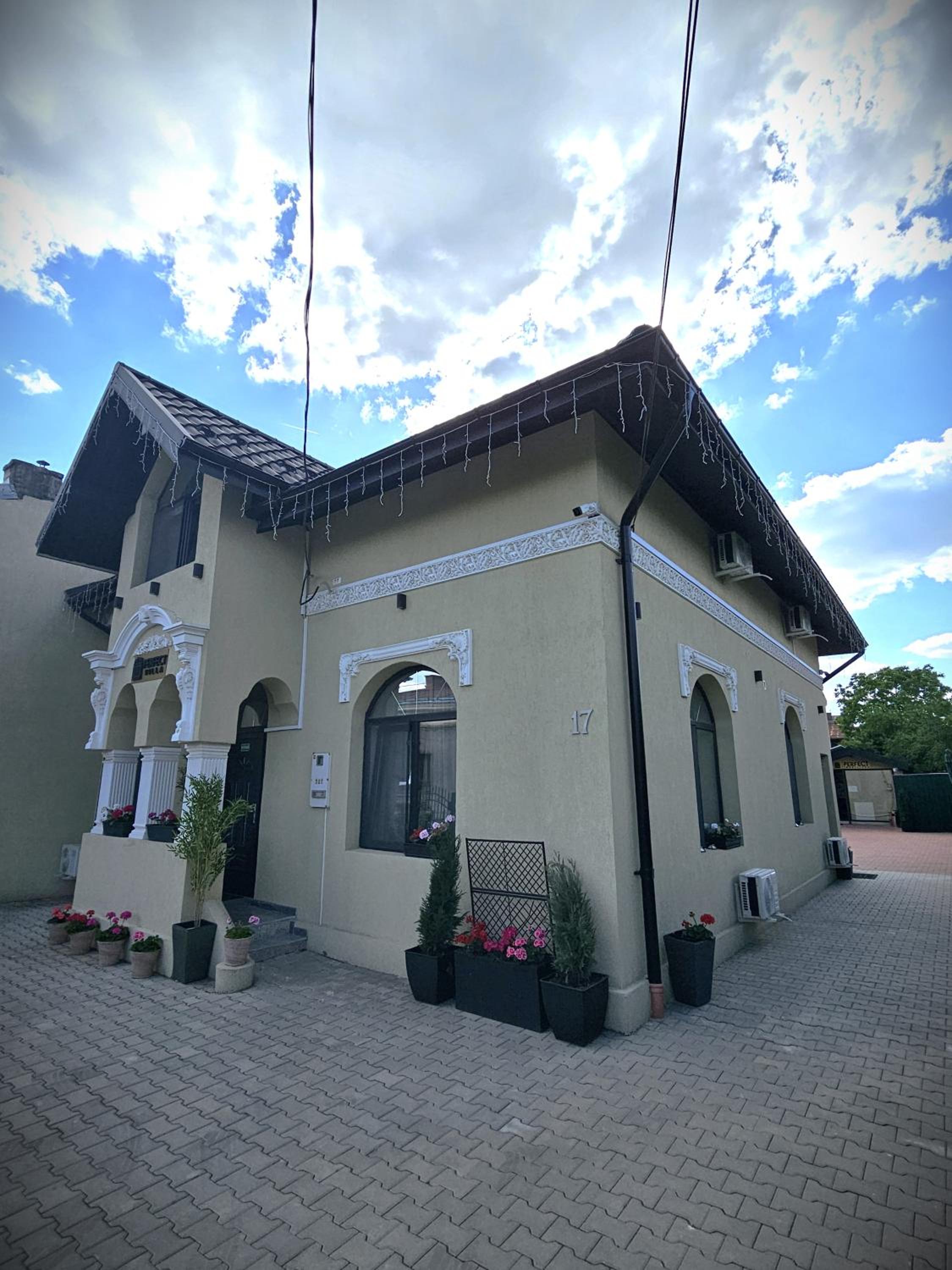 PERFECT VILLA Ploiesti view 3