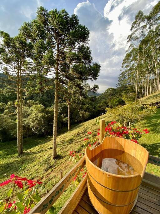 Cunha SP - Natureza deslumbrante , rios, lago, cachoeira, jacuzzi, sauna