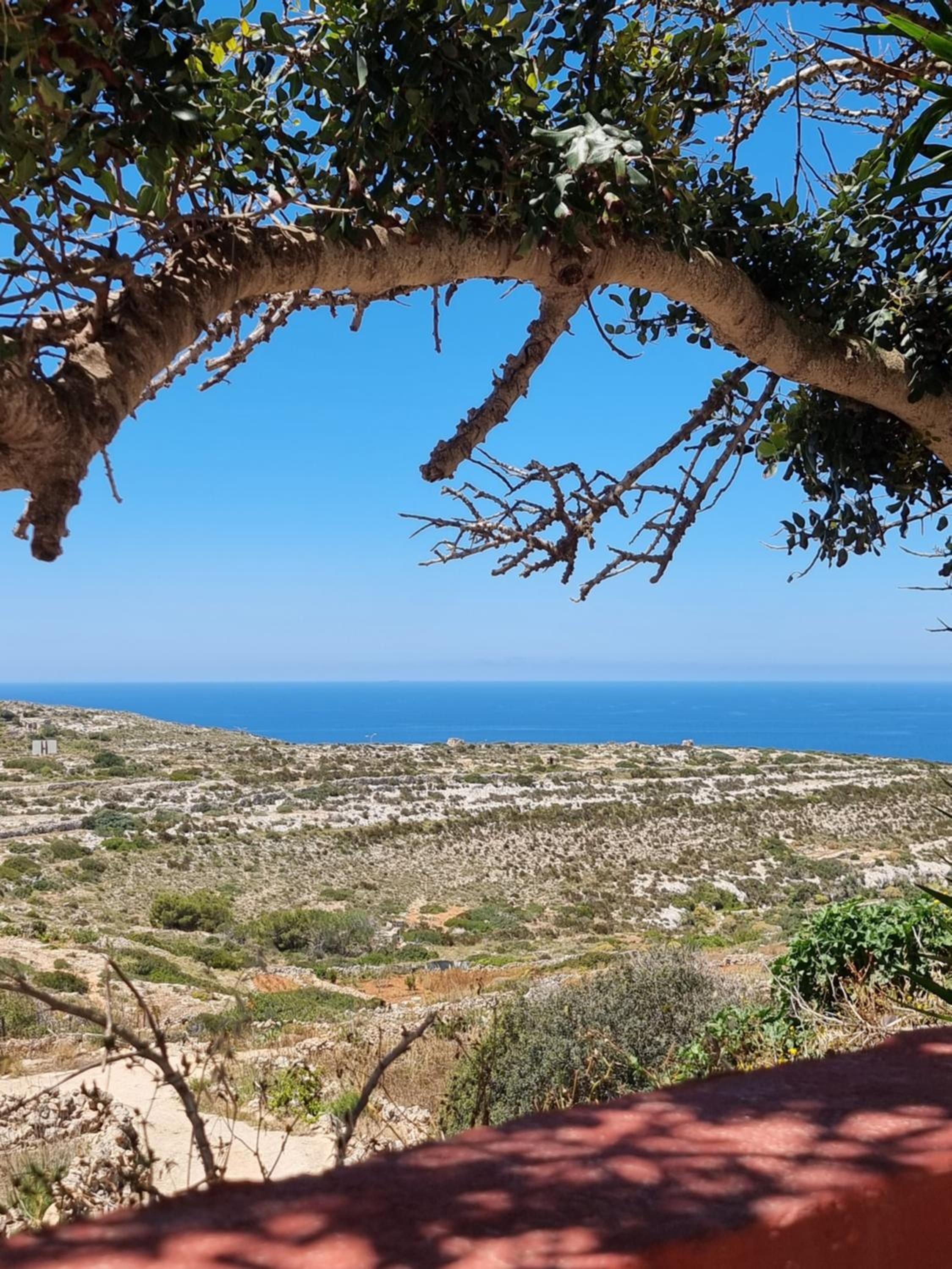 Seaside Apartments Malta Mellieha 2 view 4