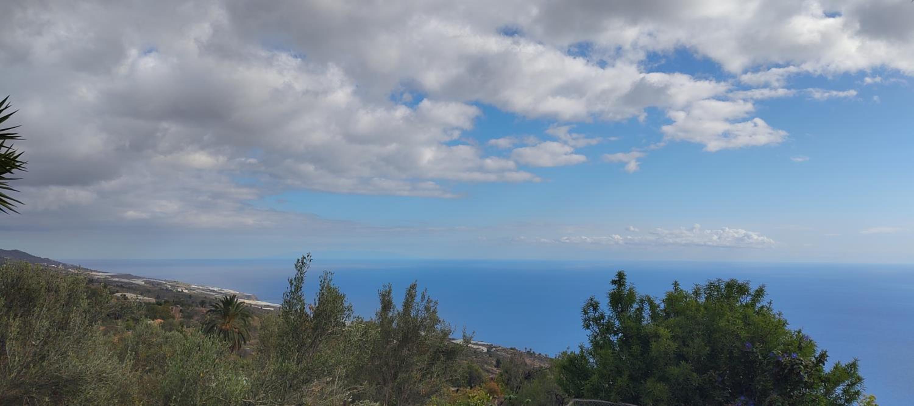 Finca Panorama