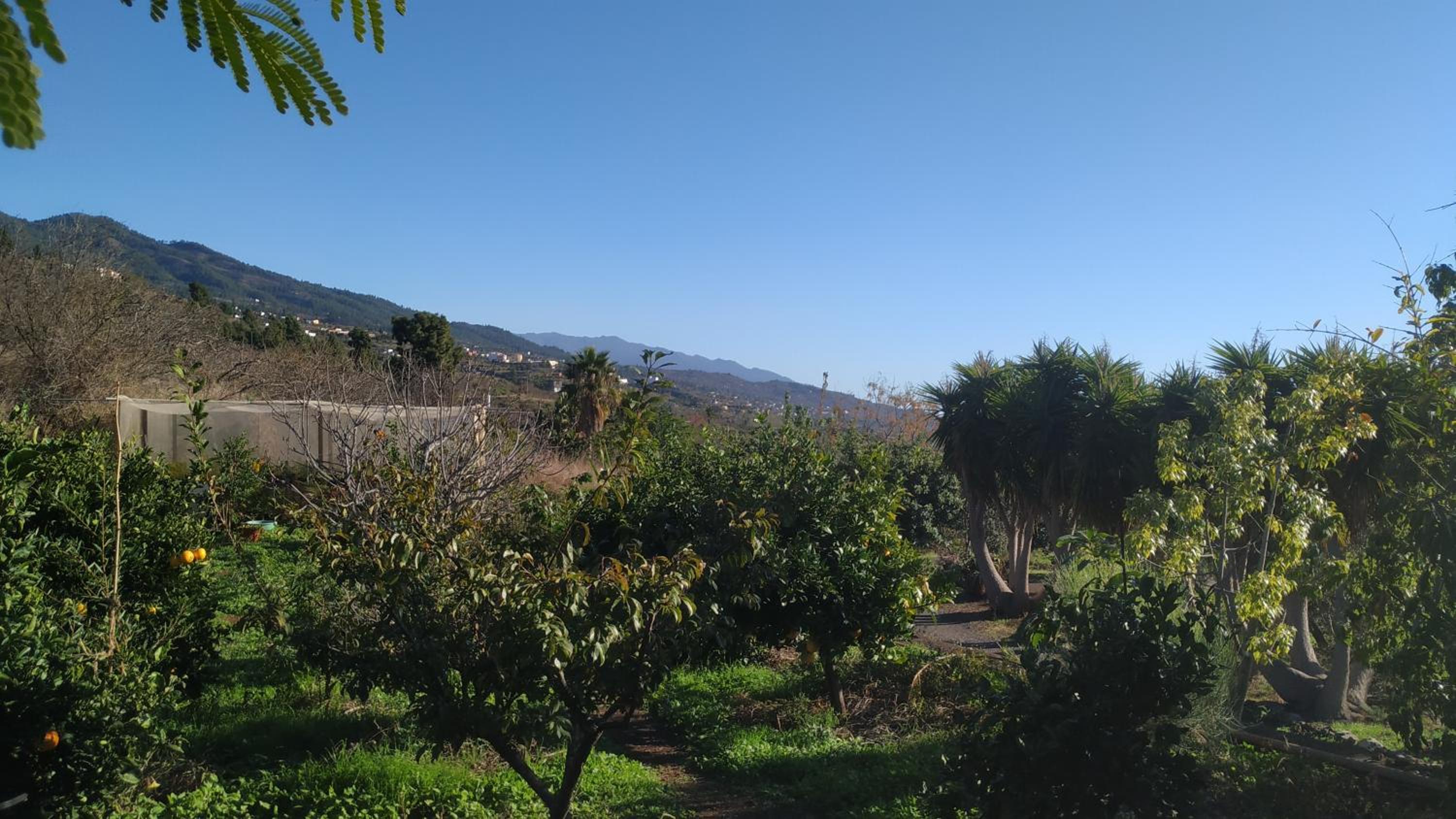Finca Panorama