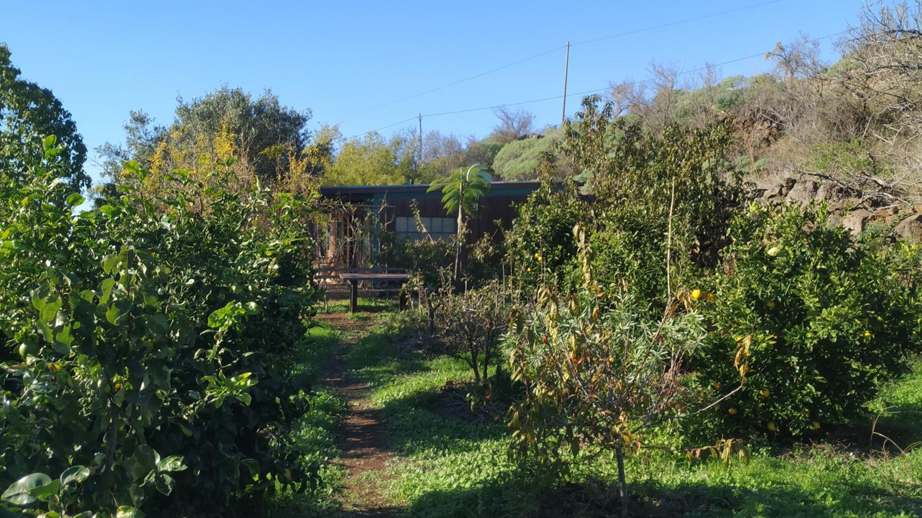 Finca Panorama