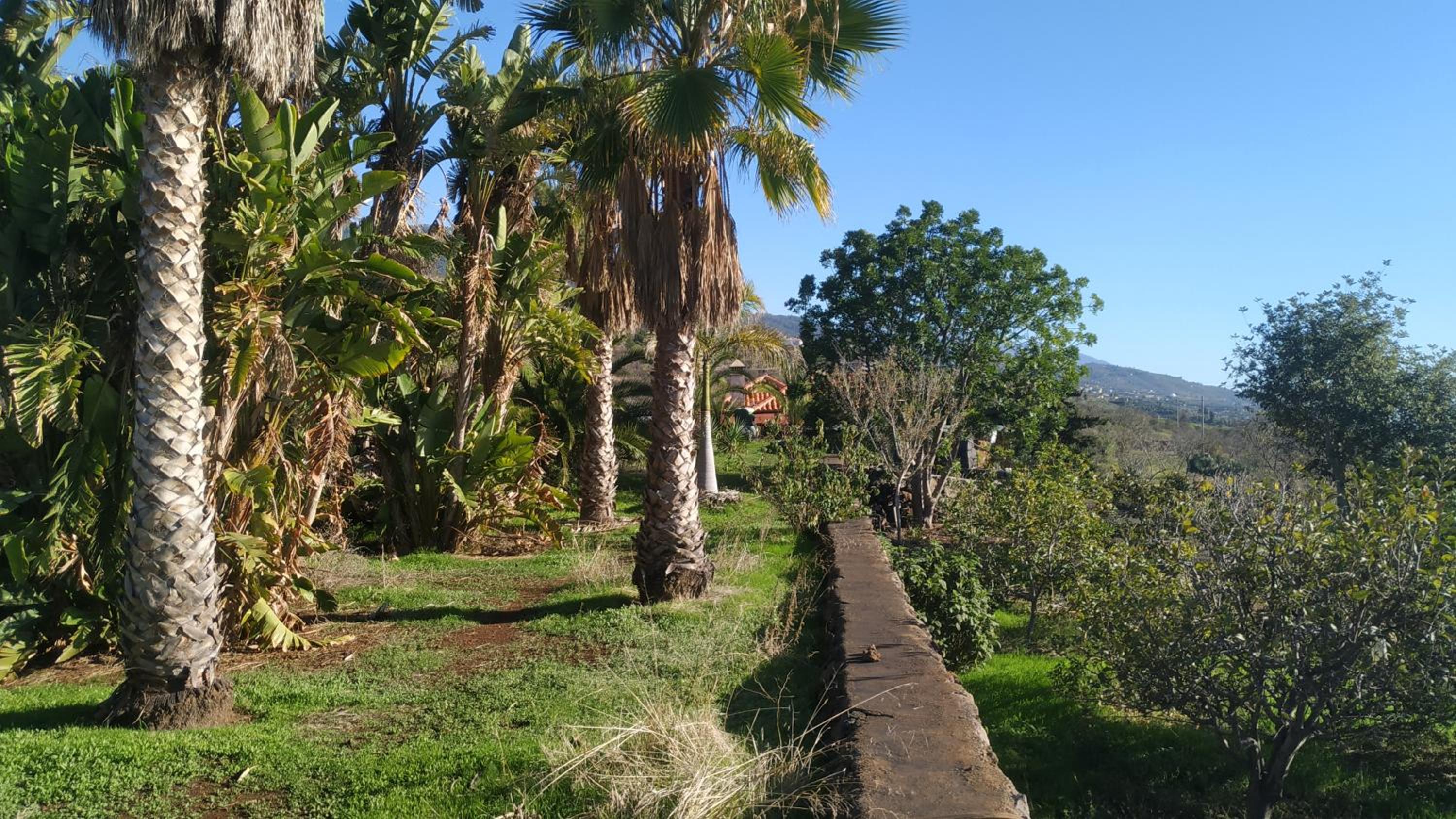 Finca Panorama