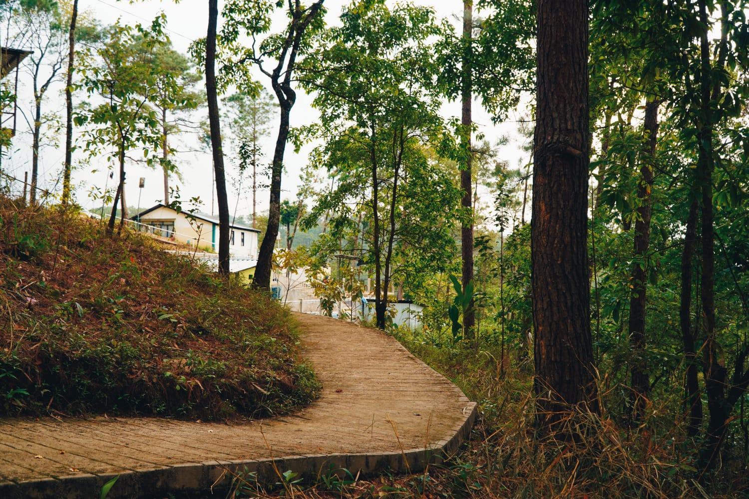 Photo 11