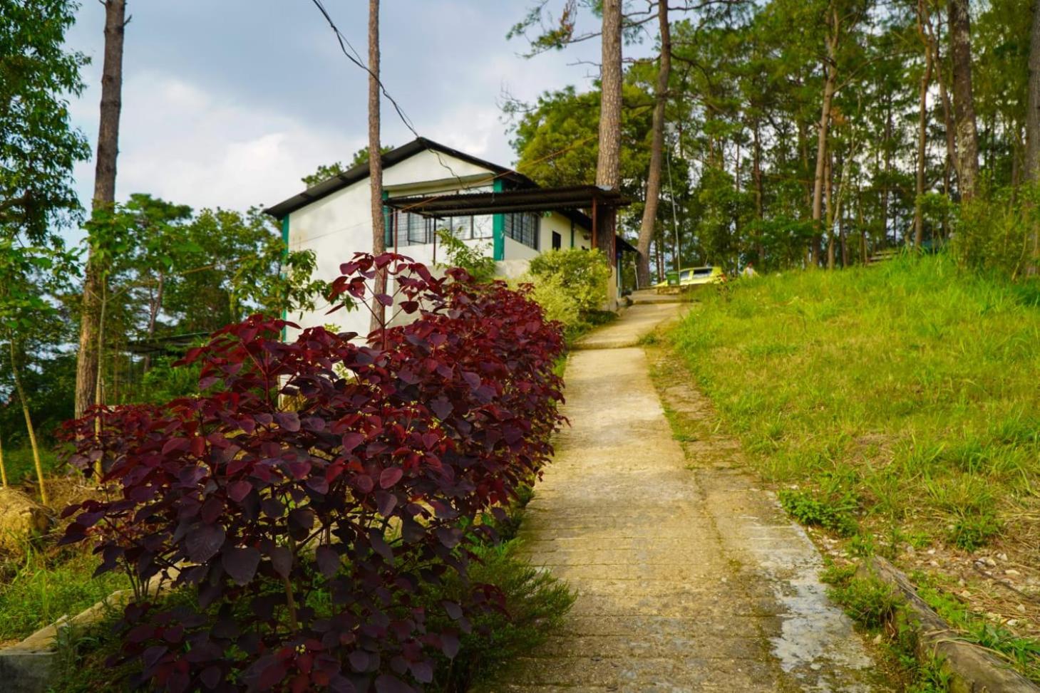 SOLICOM VALLEY Park & Resort view 5