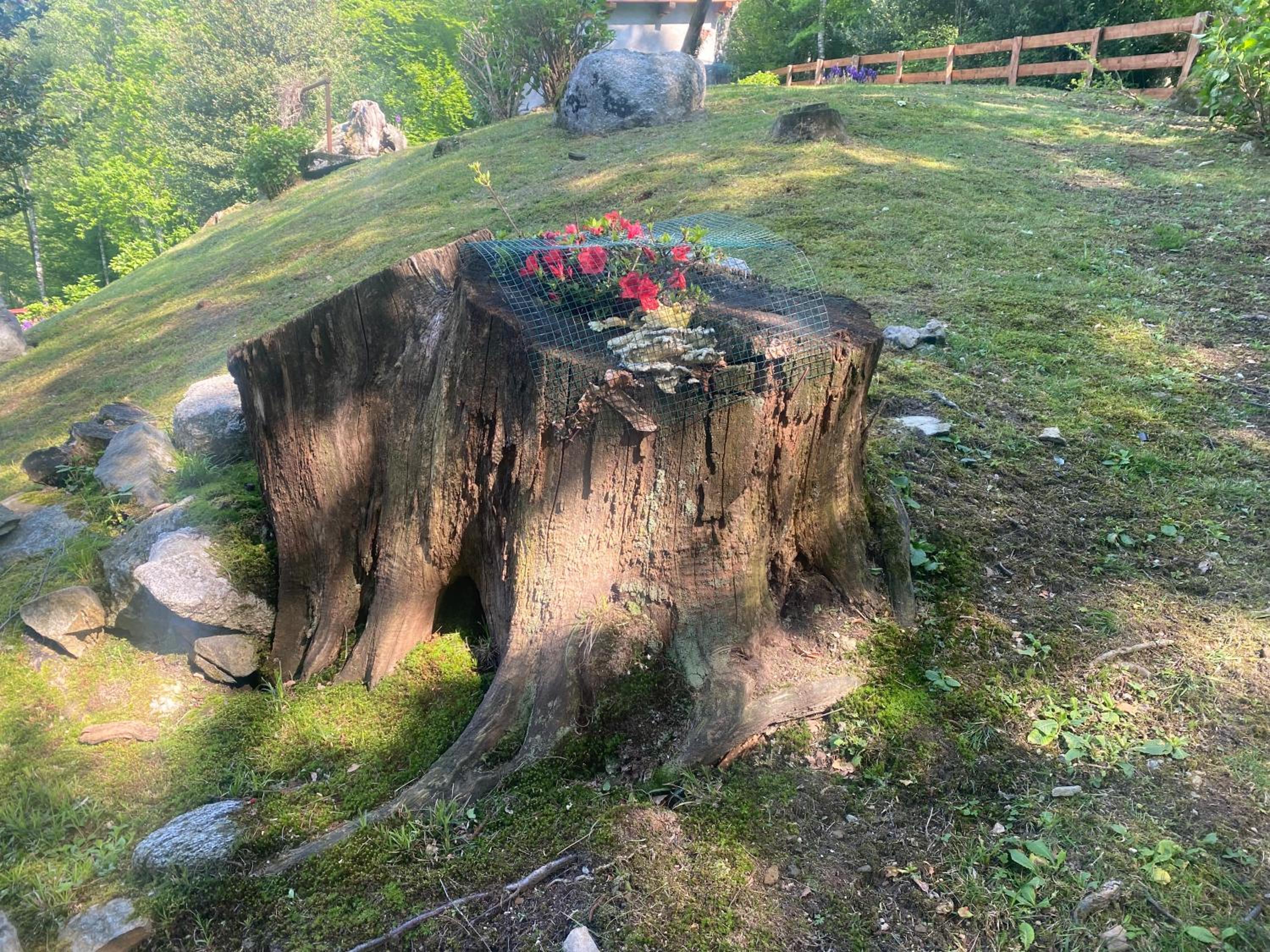 CASA VACANZA LA TERRAZZA photo 3