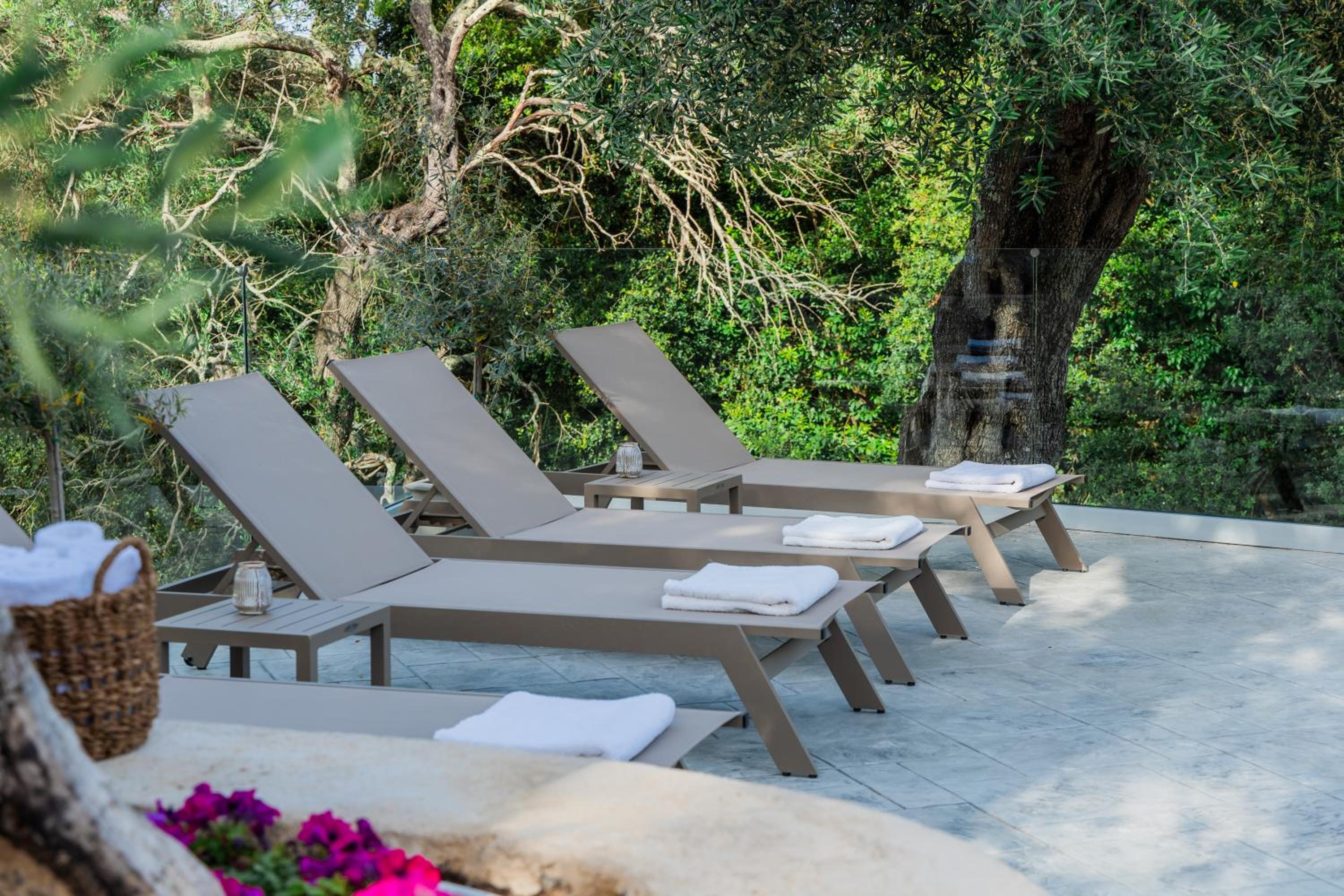 Zervos Corfu Estate view 3