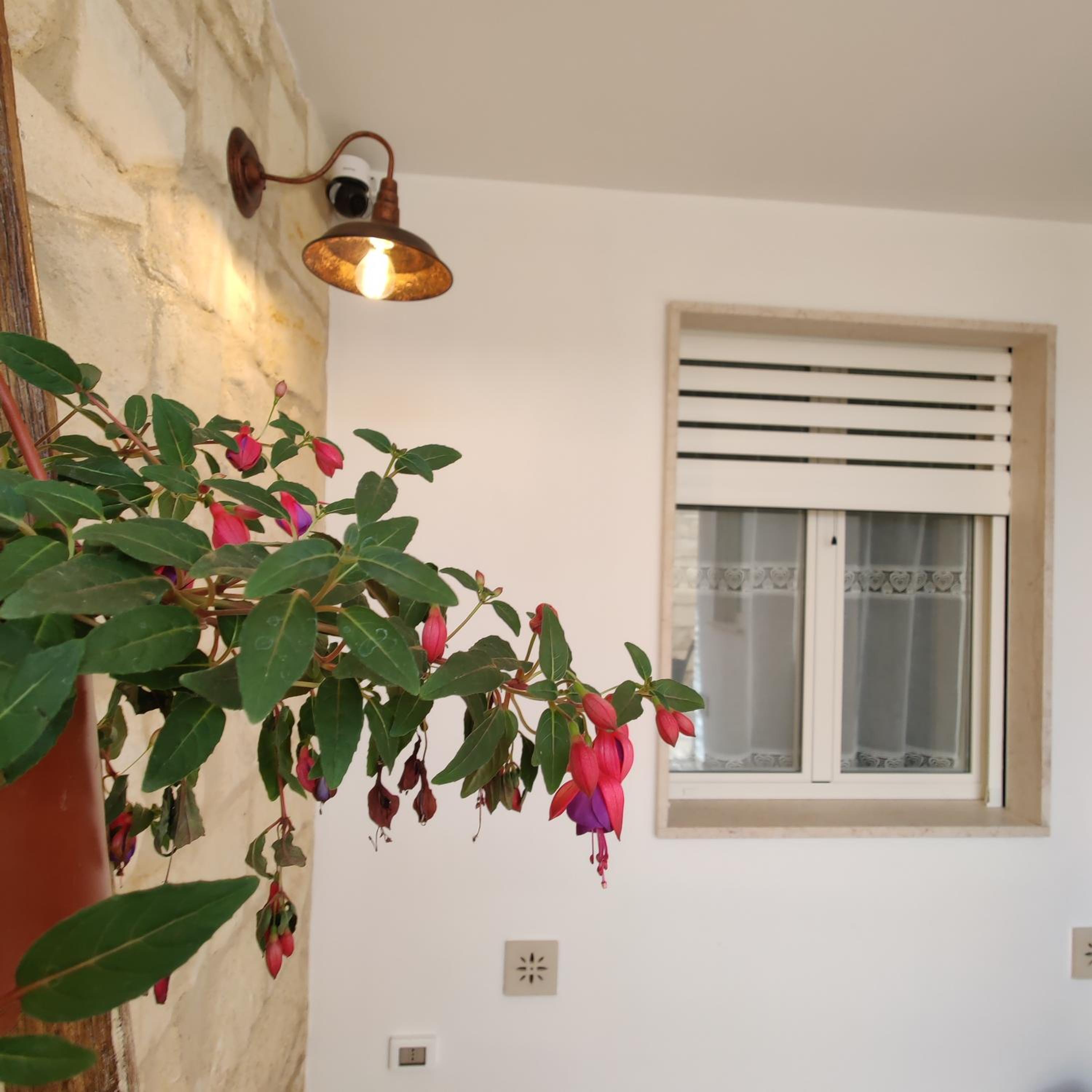 Raffaello Suite