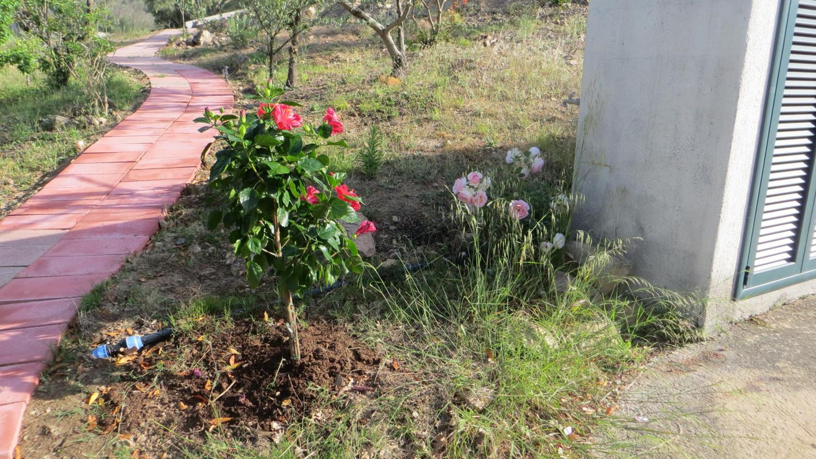 La Calendula en San Teodoro