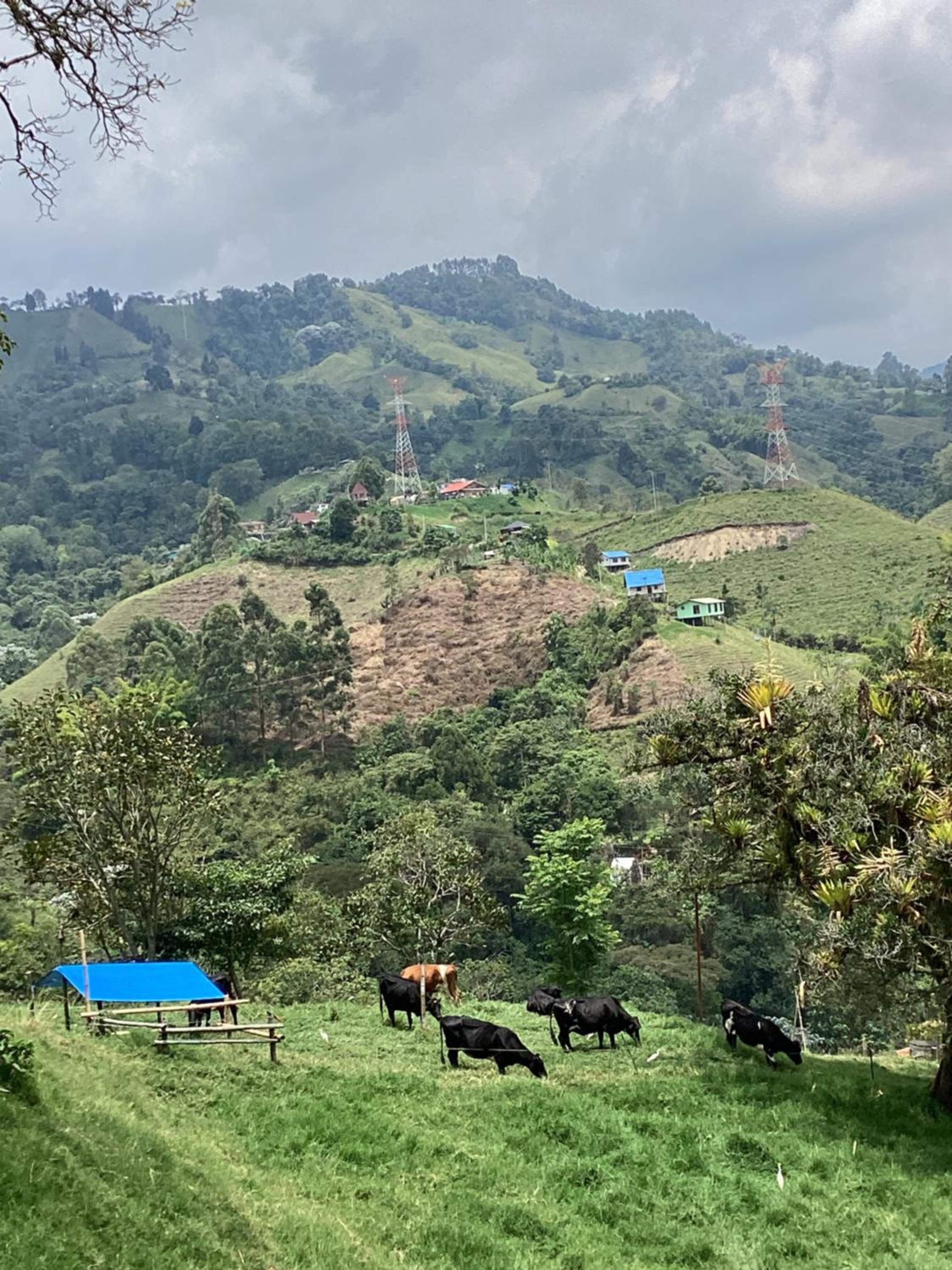 ECOHostal las Hamacas