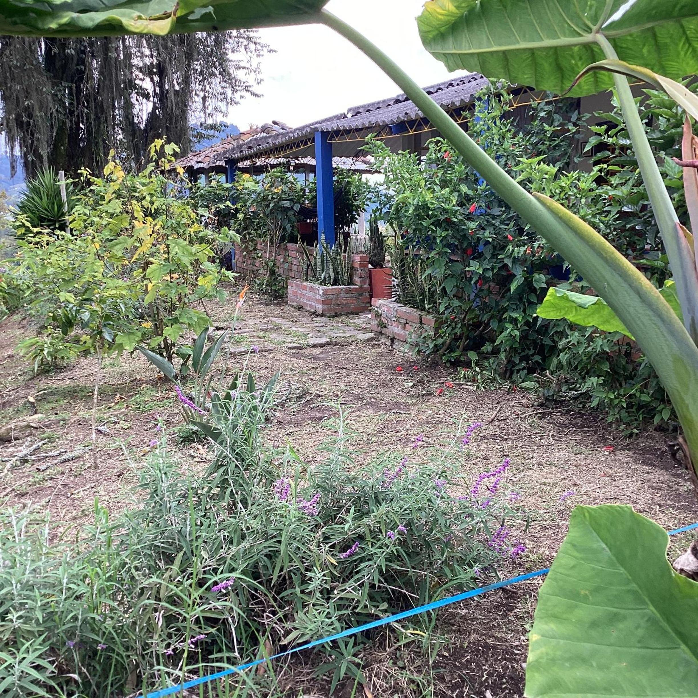 ECOHostal las Hamacas