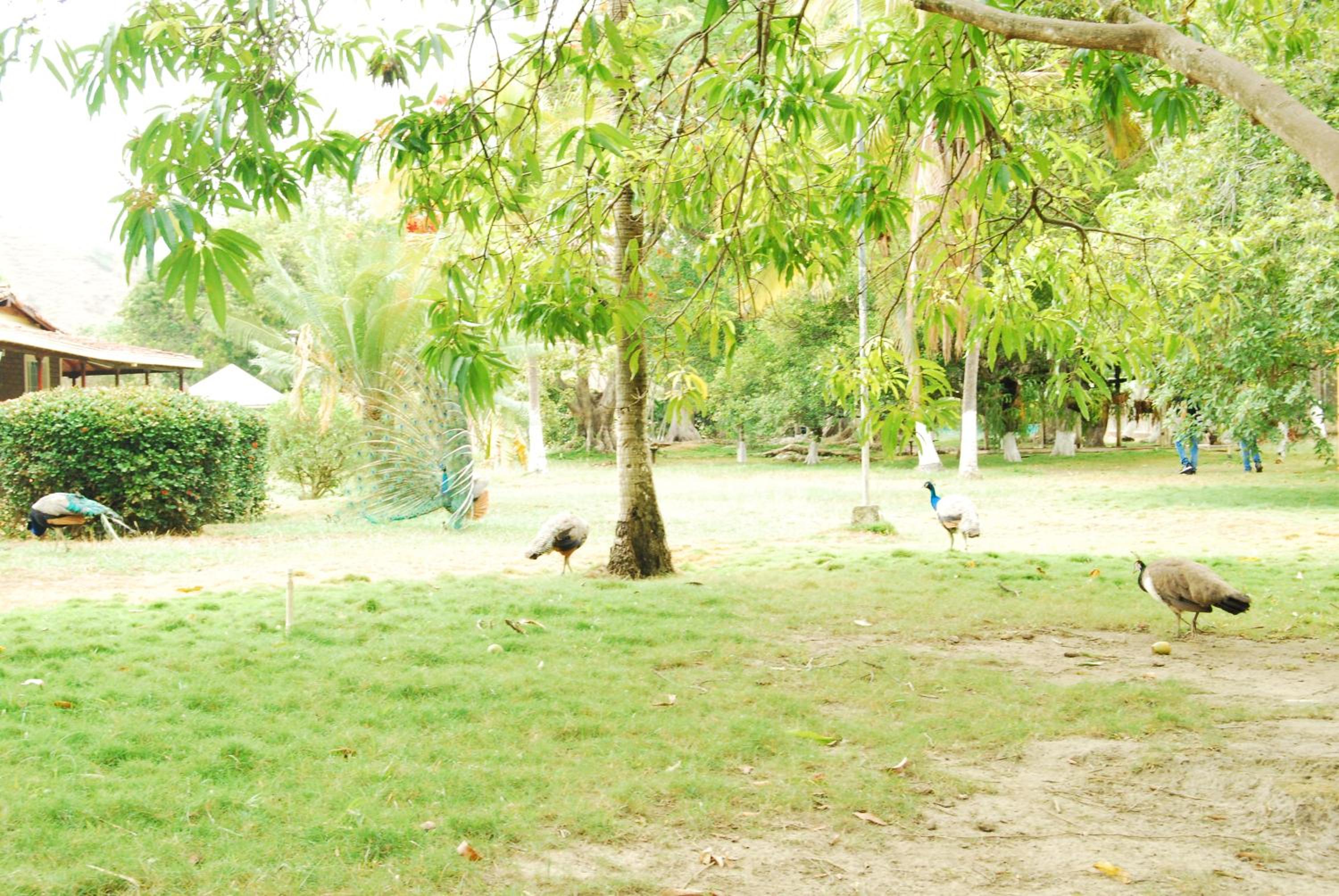 Finca la Querendona