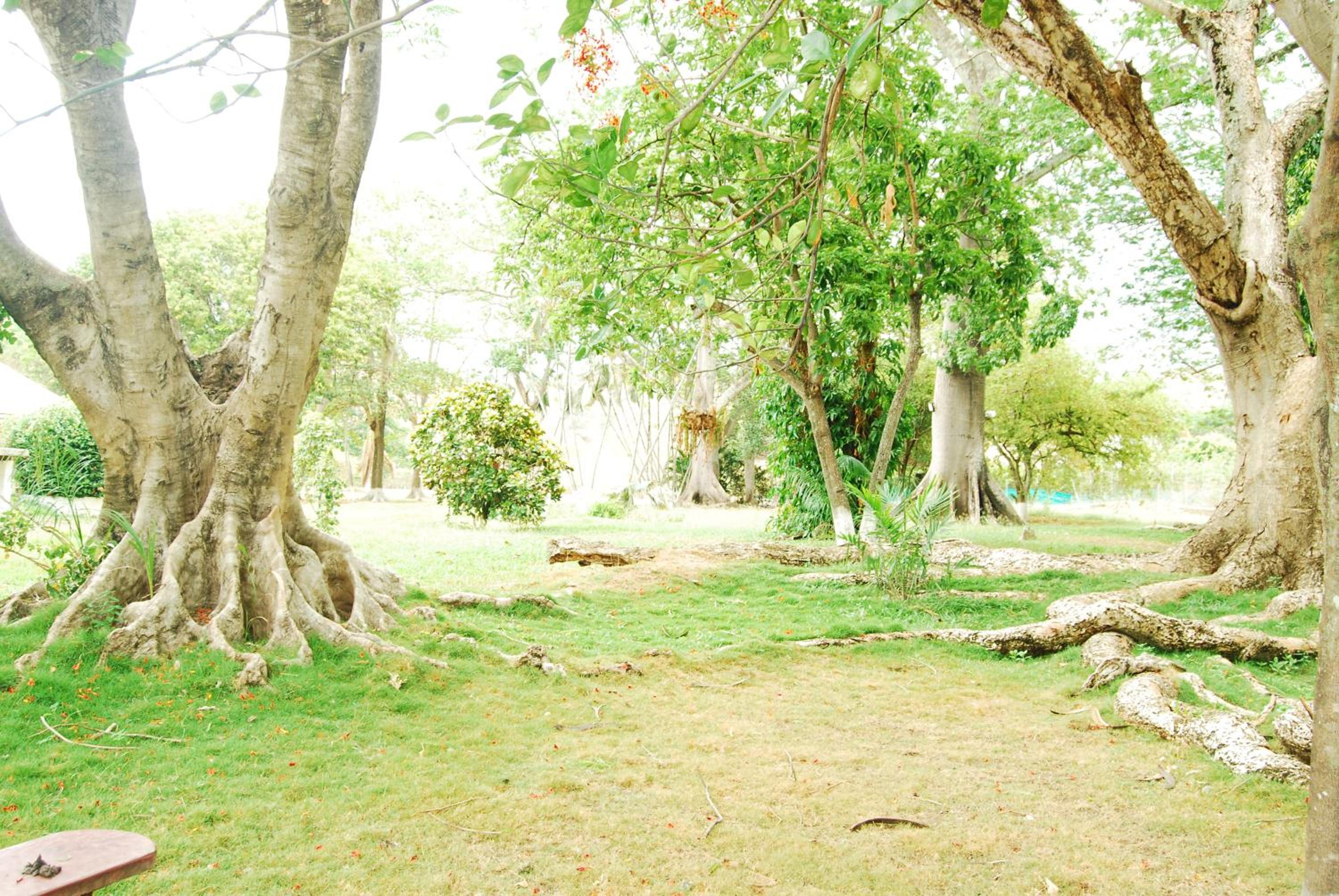 Finca la Querendona