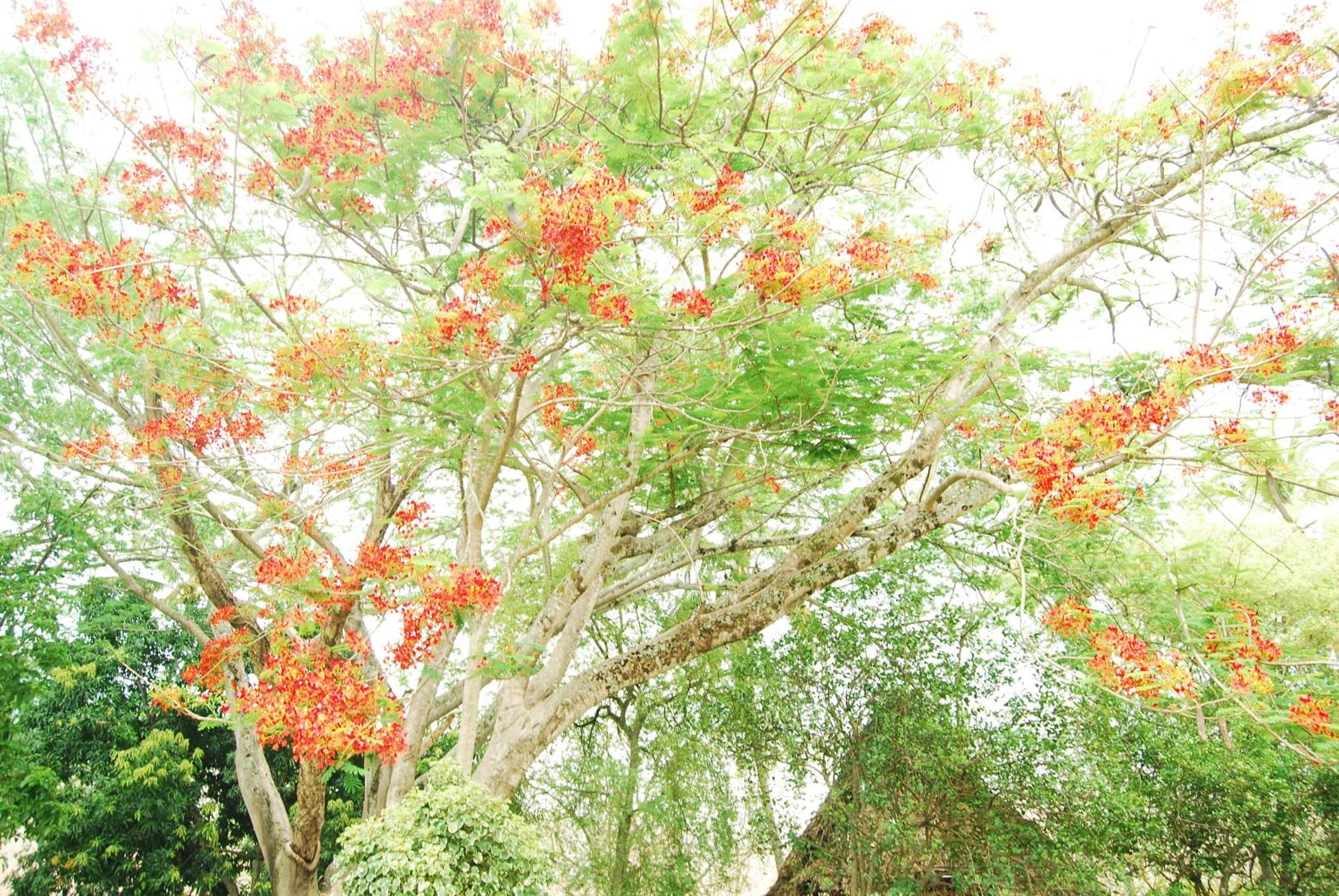 Finca la Querendona